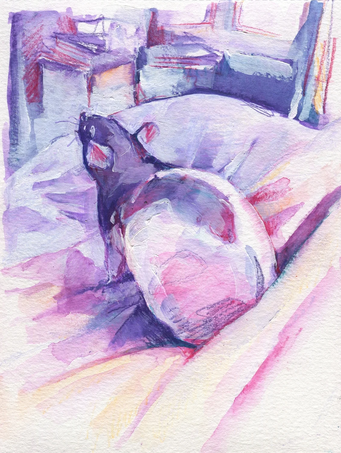 The100RatProject 003/100
