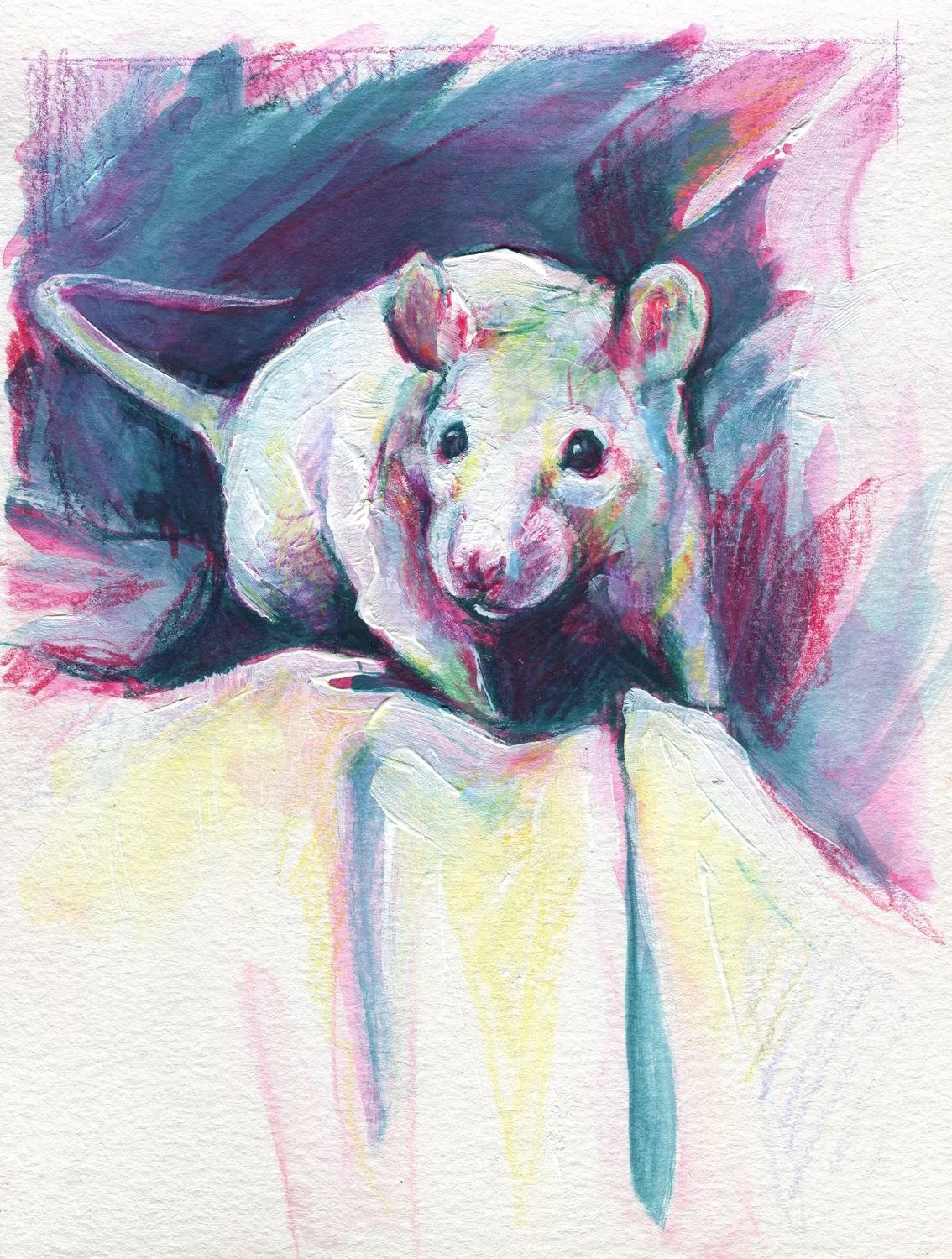 The100RatProject 011/100