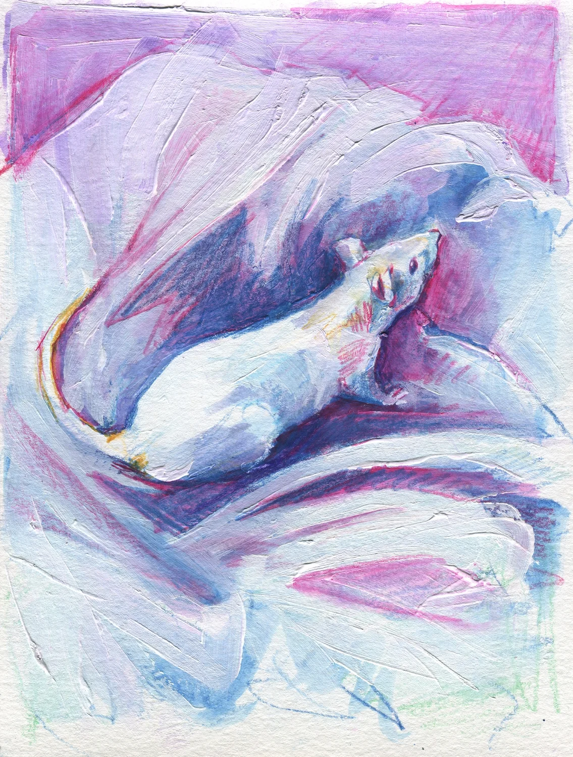 The100RatProject 012/100