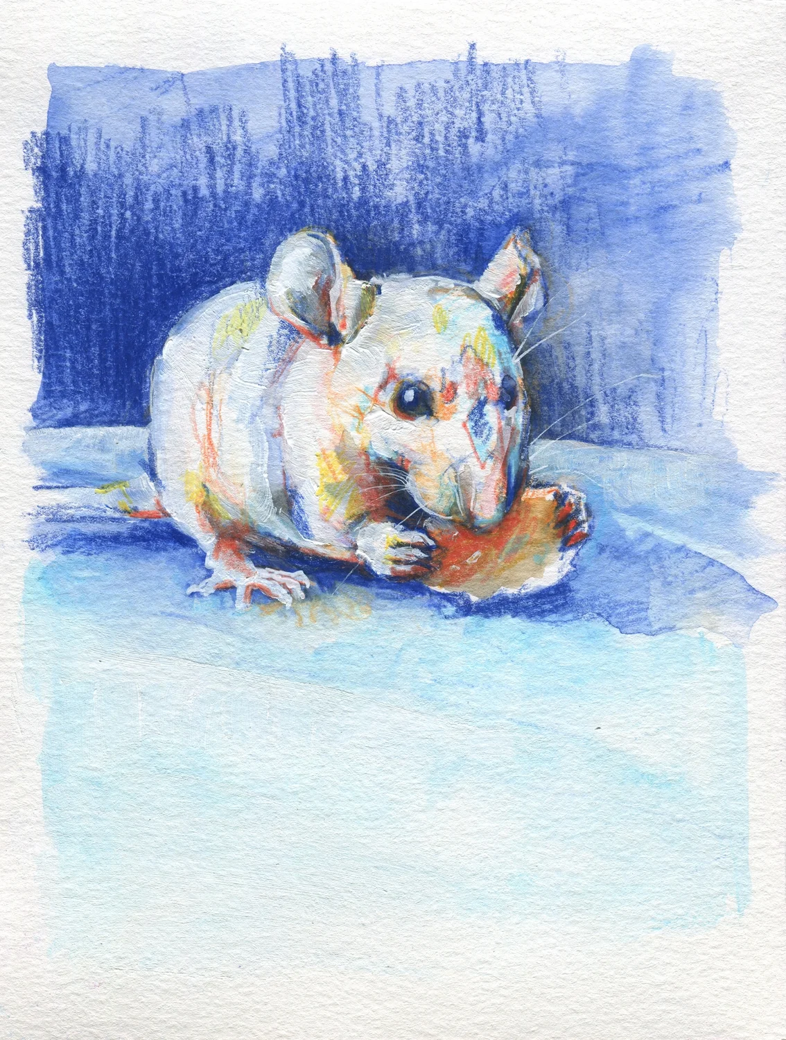 The100RatProject 014/100