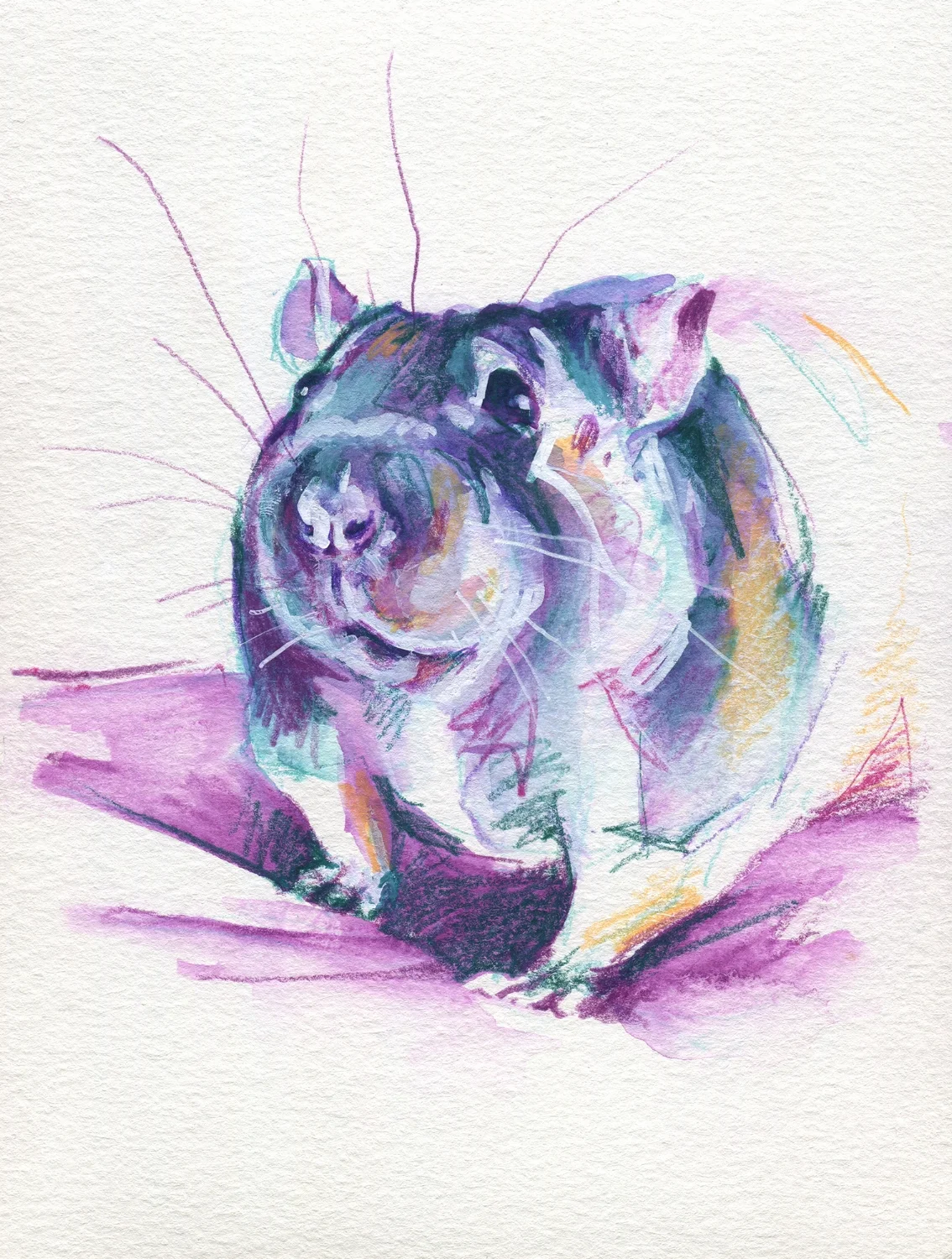 The100RatProject 015/100