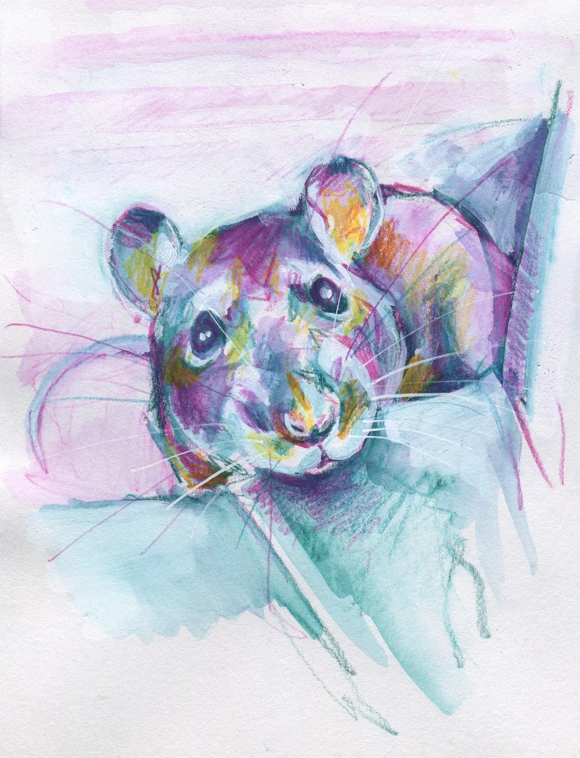 The100RatProject 018/100