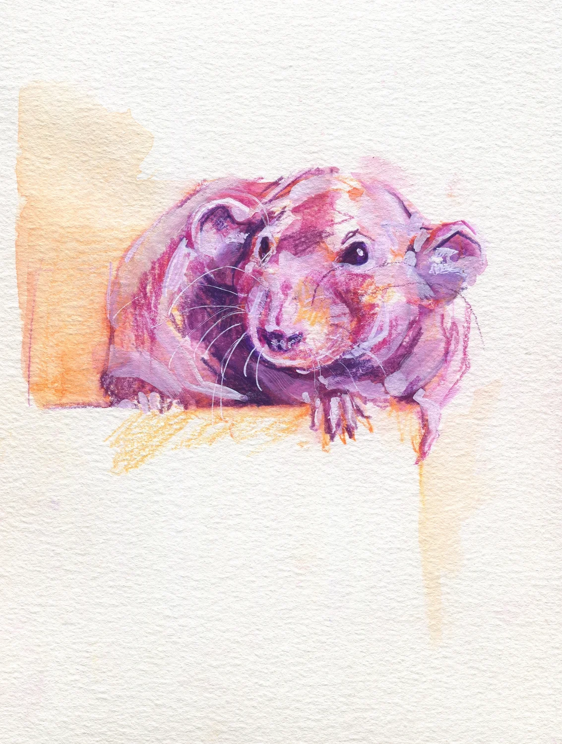 The100RatProject 020/100