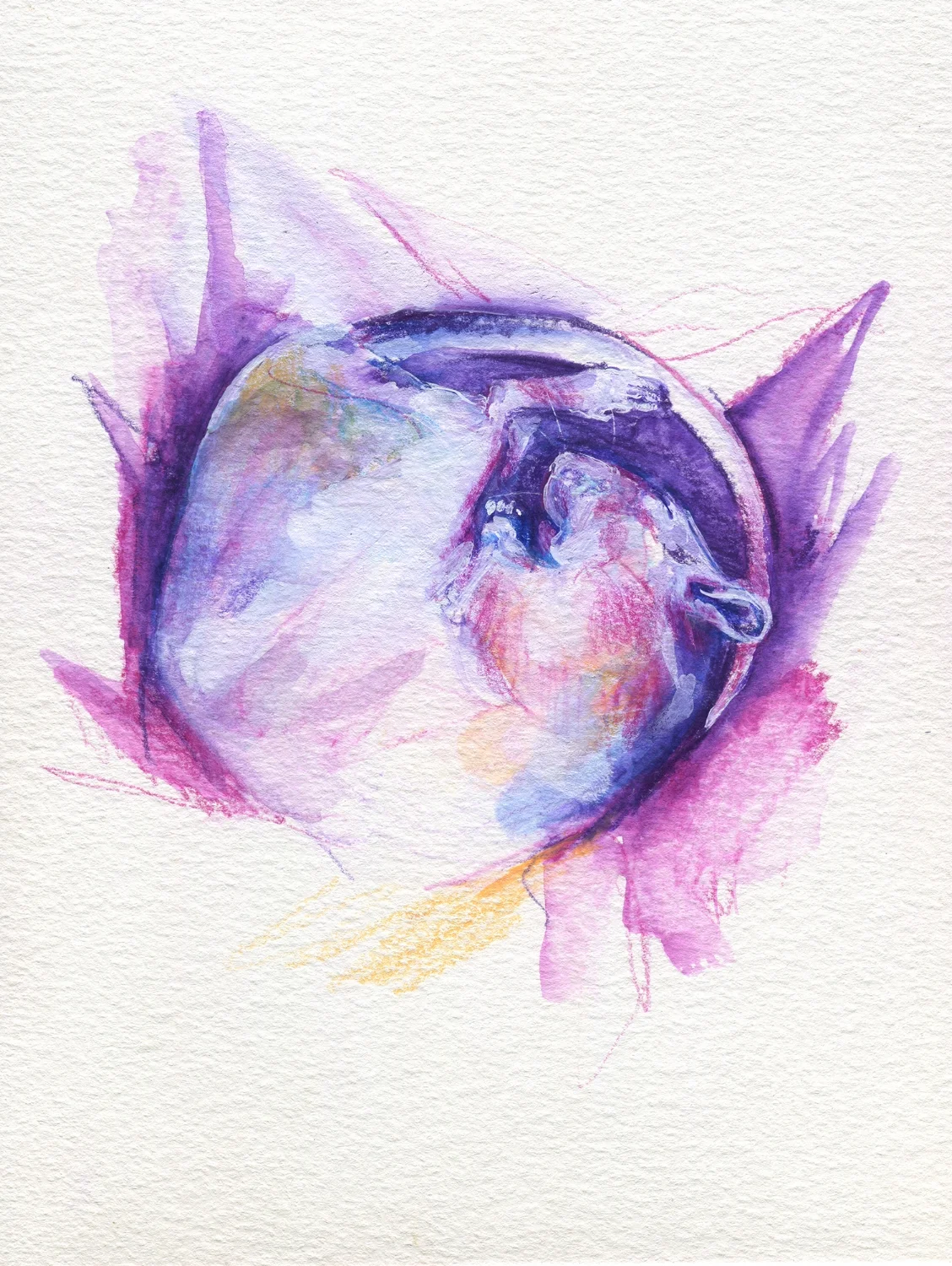 The100RatProject 022/100