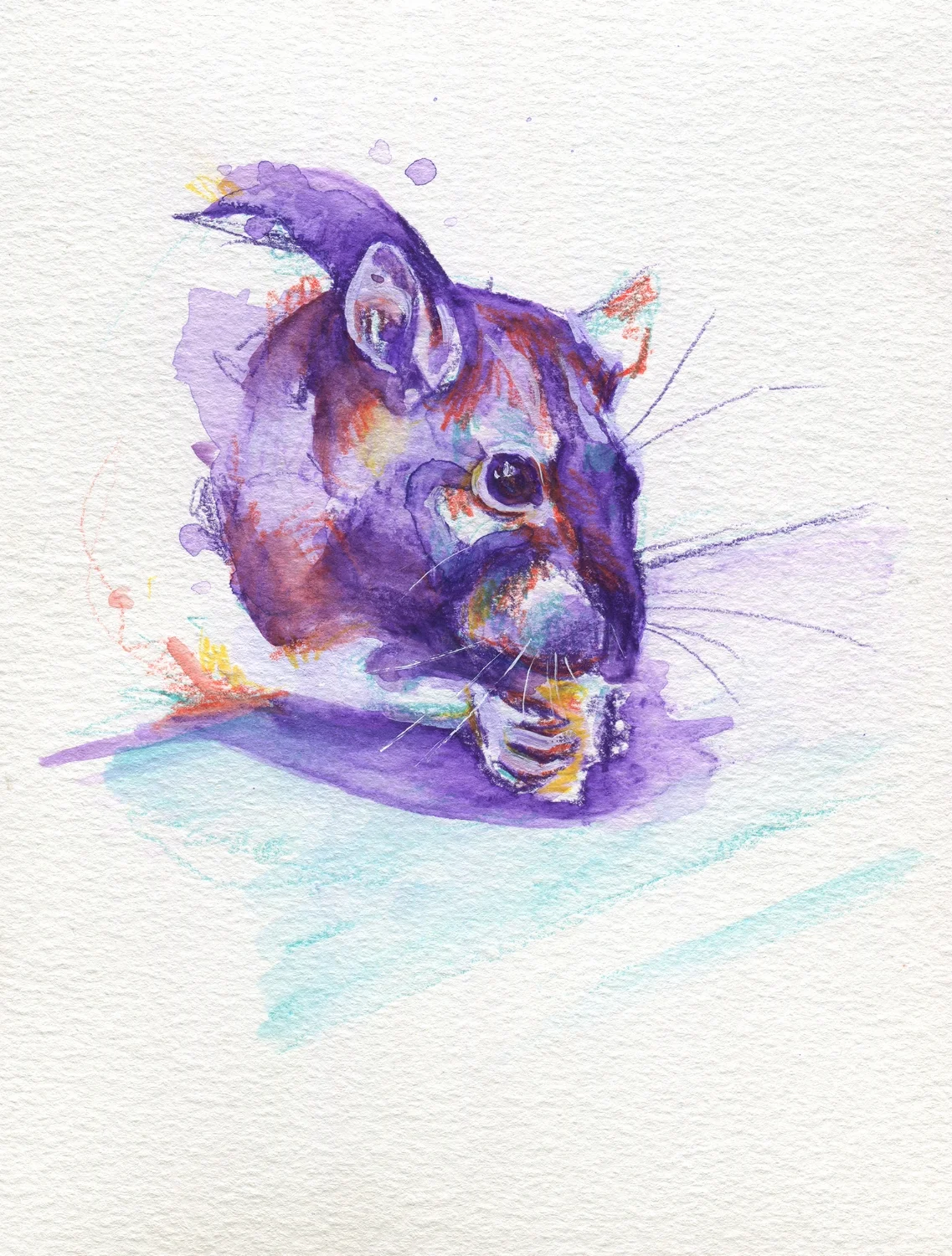 The100RatProject 027/100