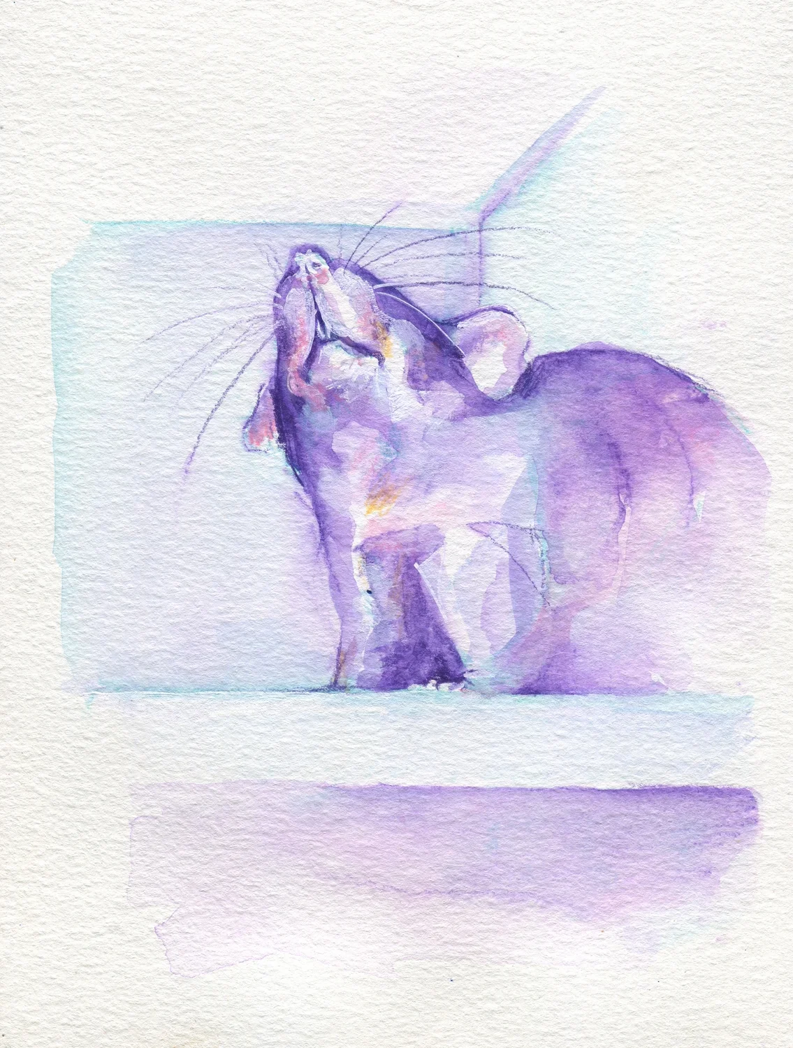 The100RatProject 040/100