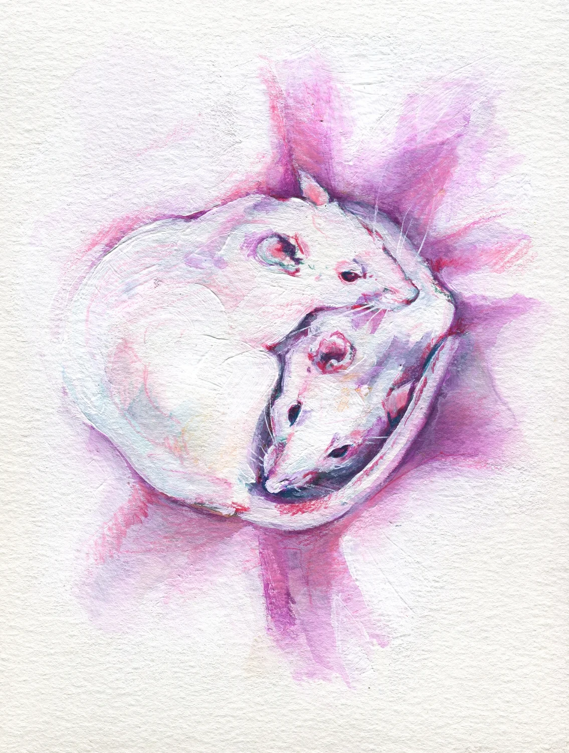 The100RatProject 052/100