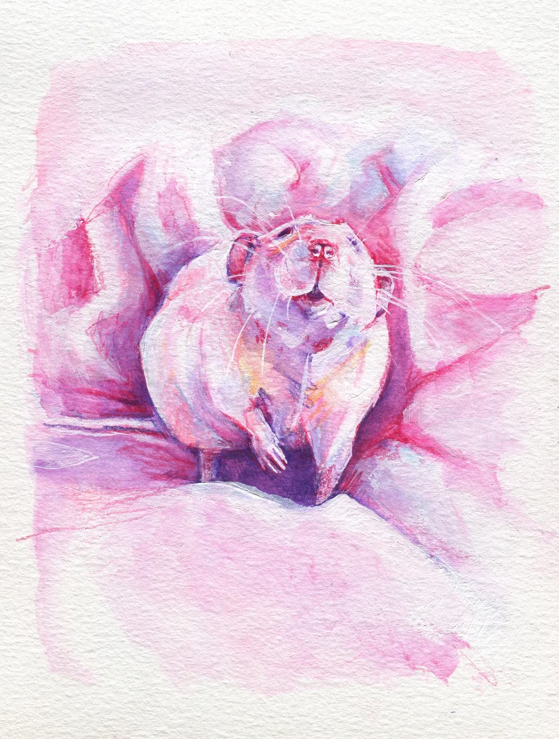 The100RatProject 053/100