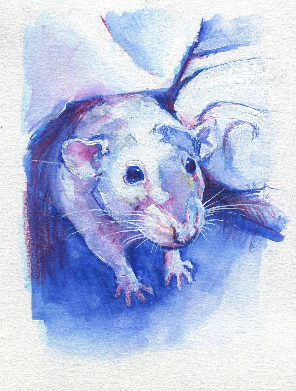 The100RatProject 058/100