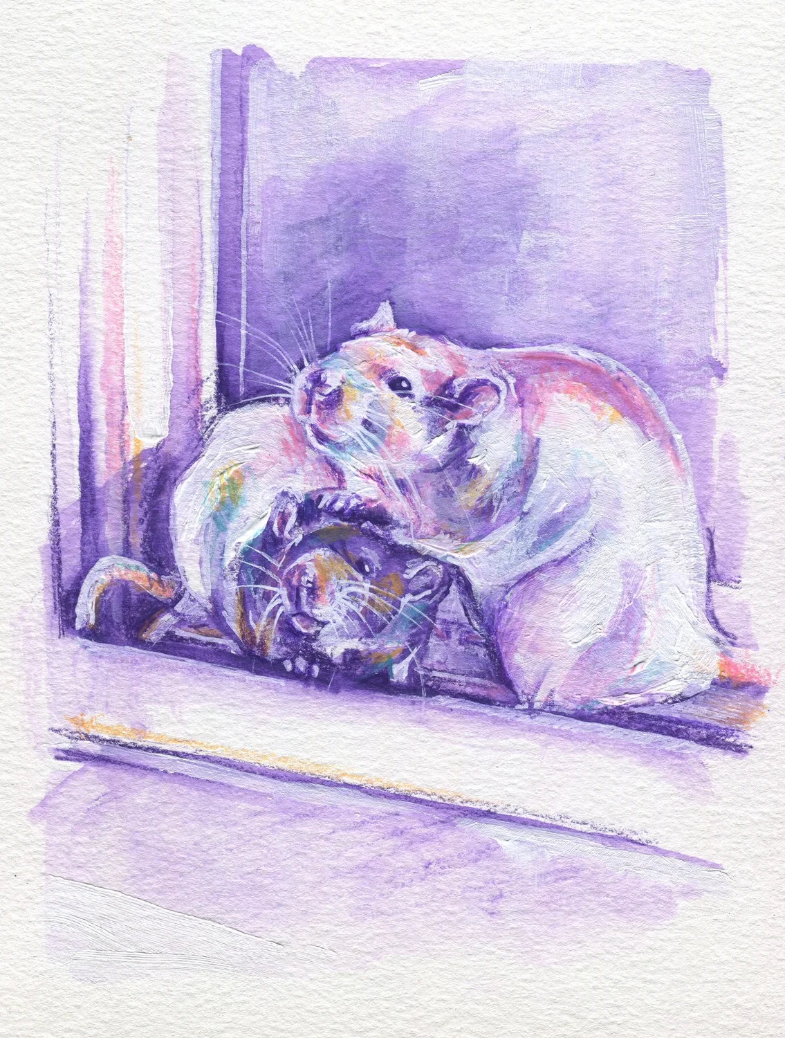 The100RatProject 062/100