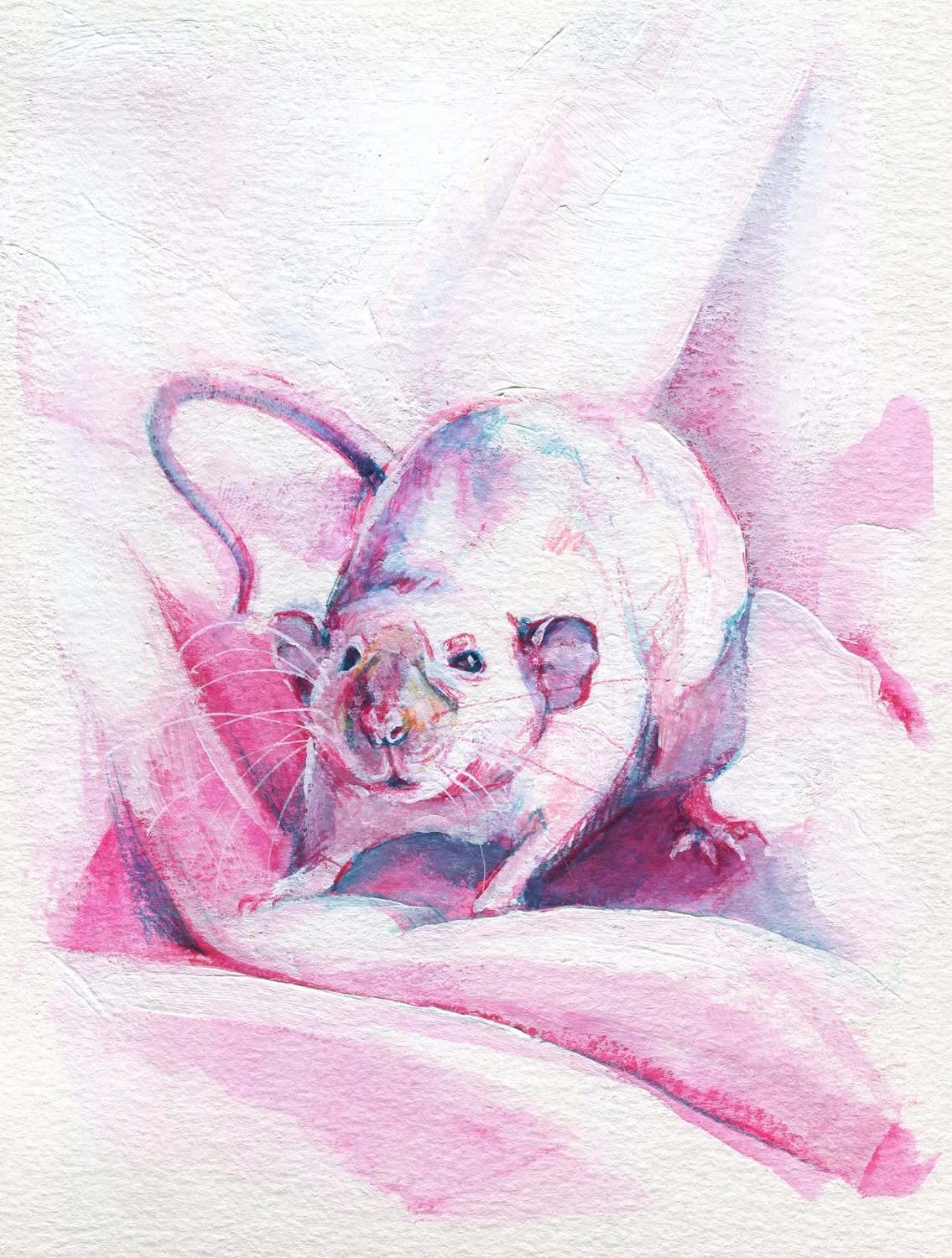 The100RatProject 065/100