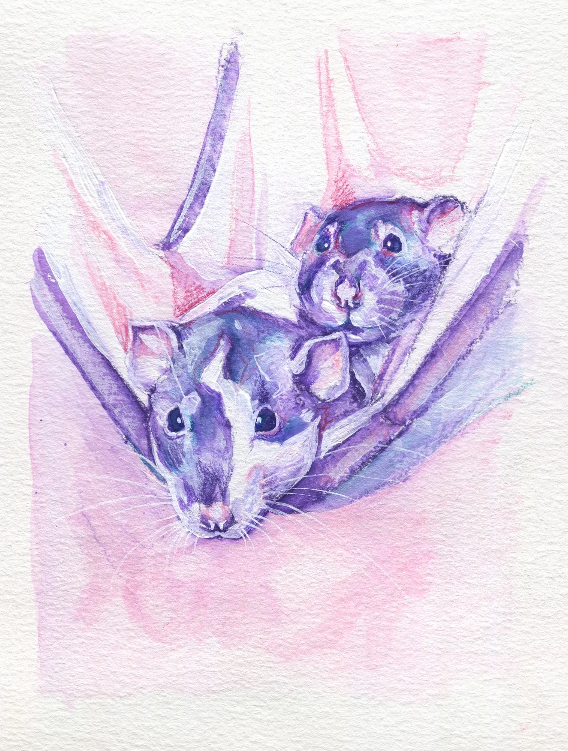 The100RatProject 070/100