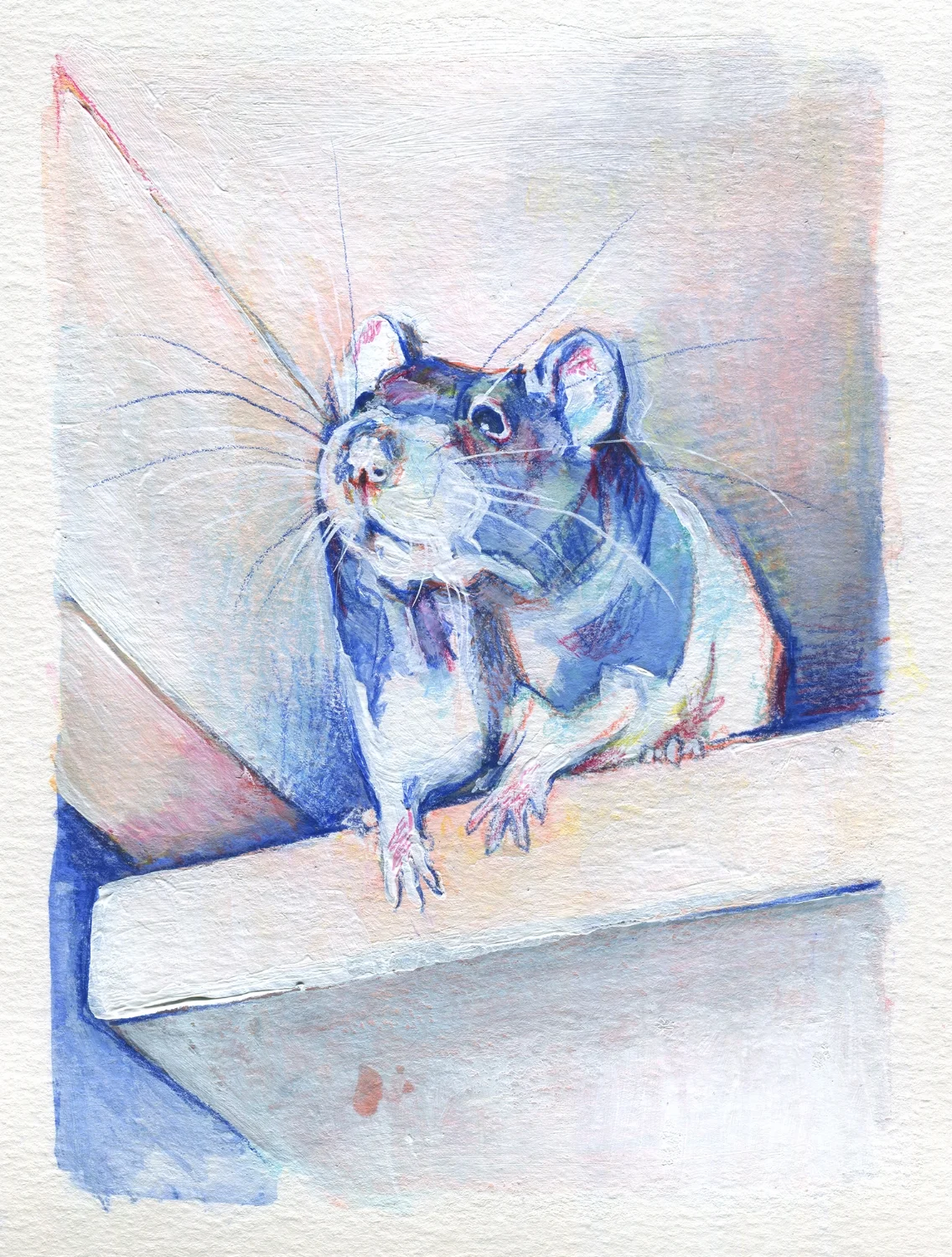 The100RatProject 071/100