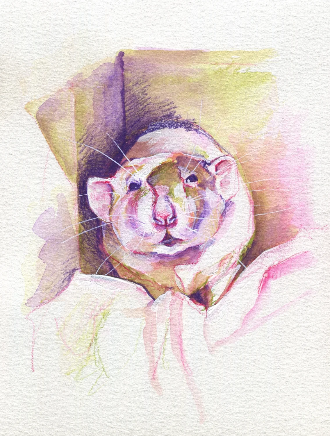 The100RatProject 082/100