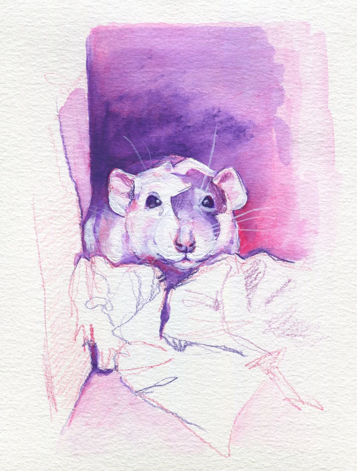 The100RatProject 084/100