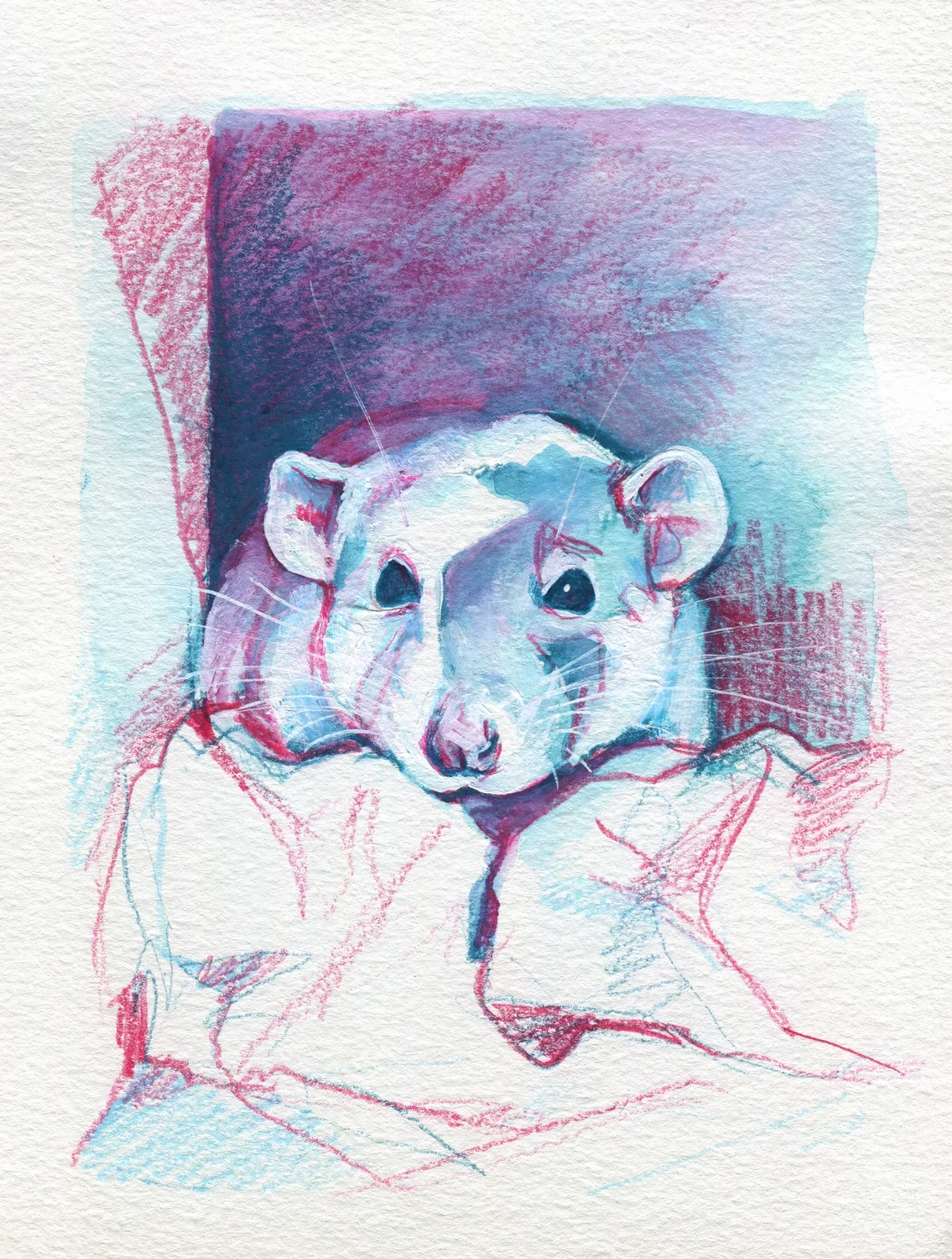 The100RatProject 089/100