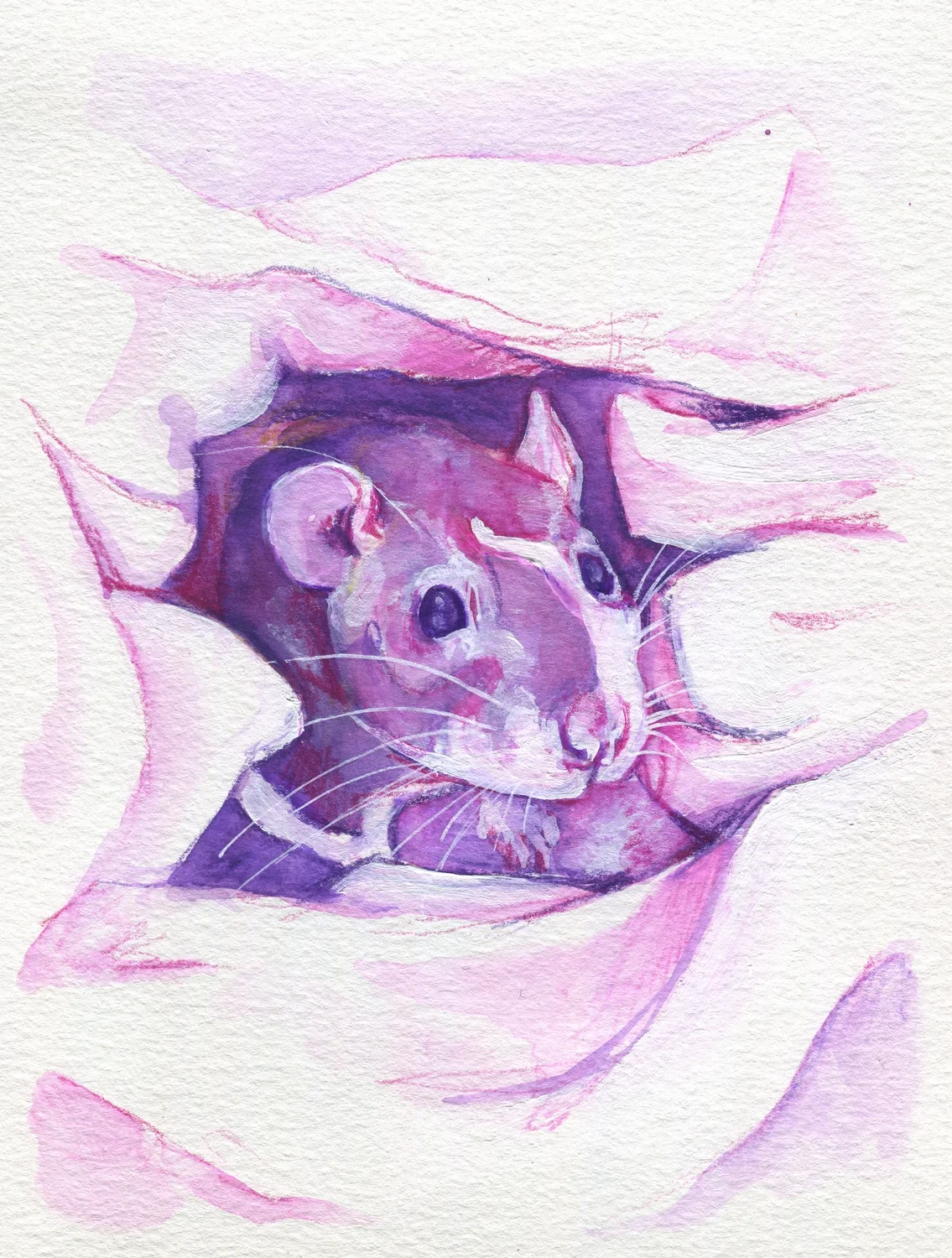 The100RatProject 099/100