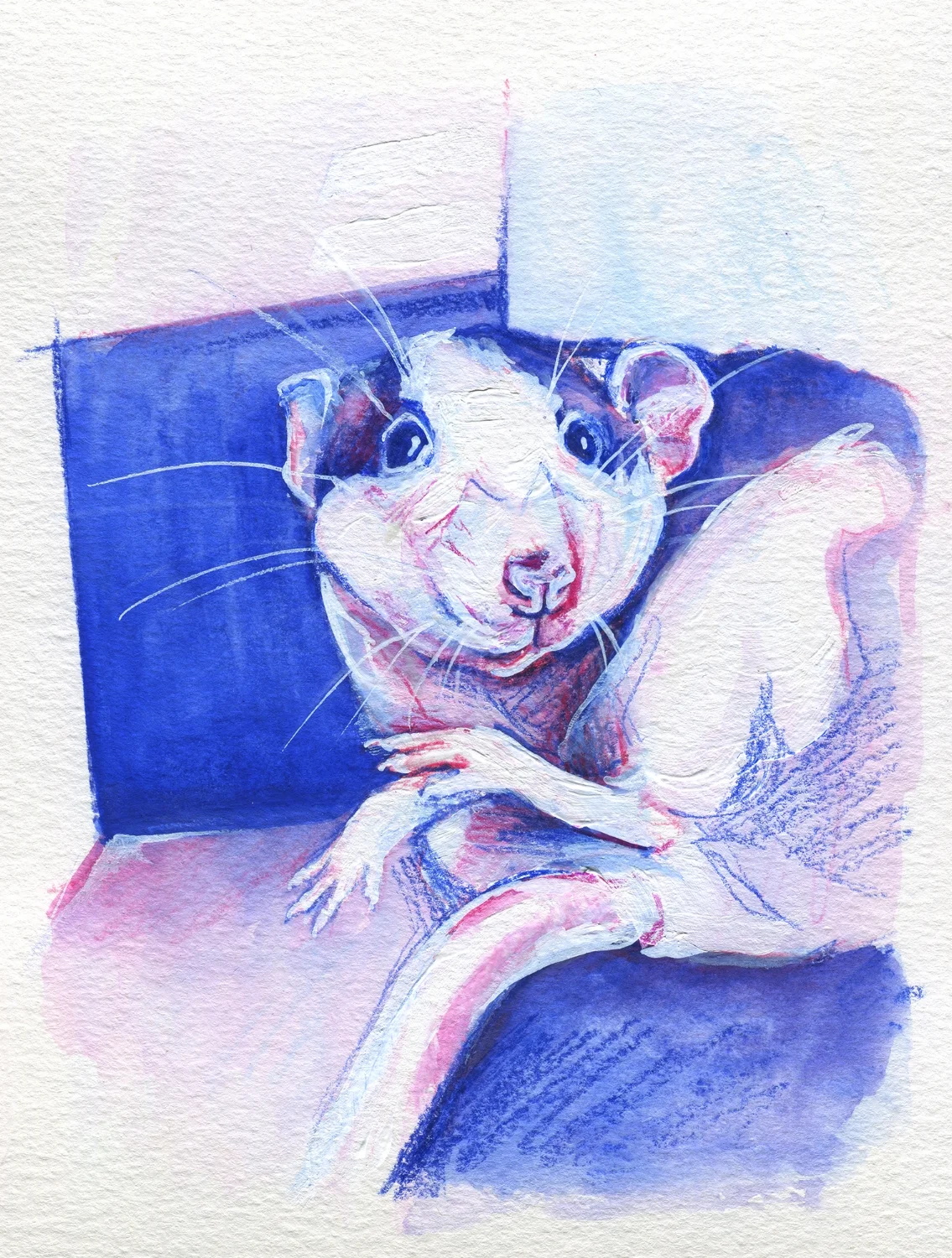 The100RatProject 100/100