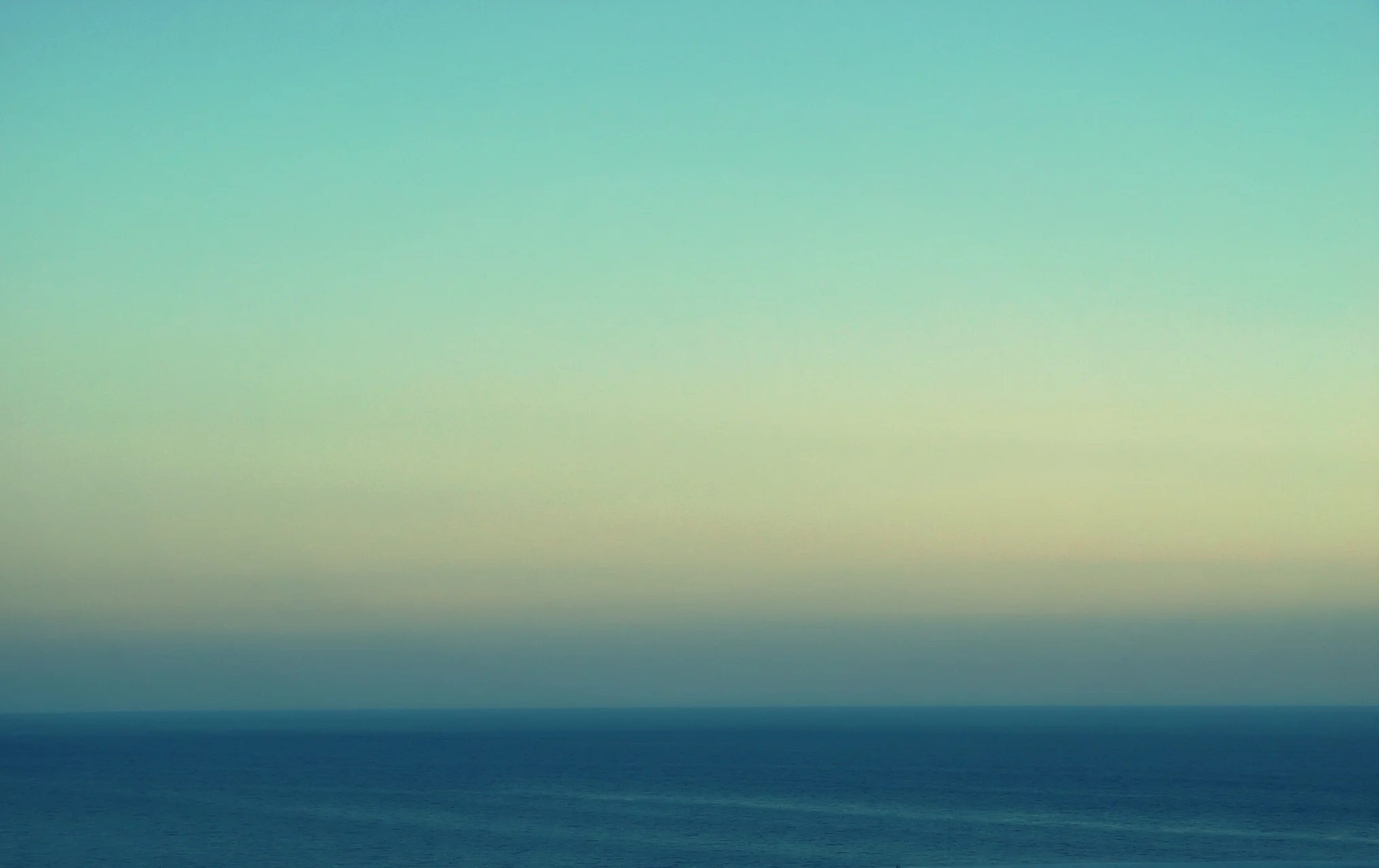 DSC03856_2.JPG
