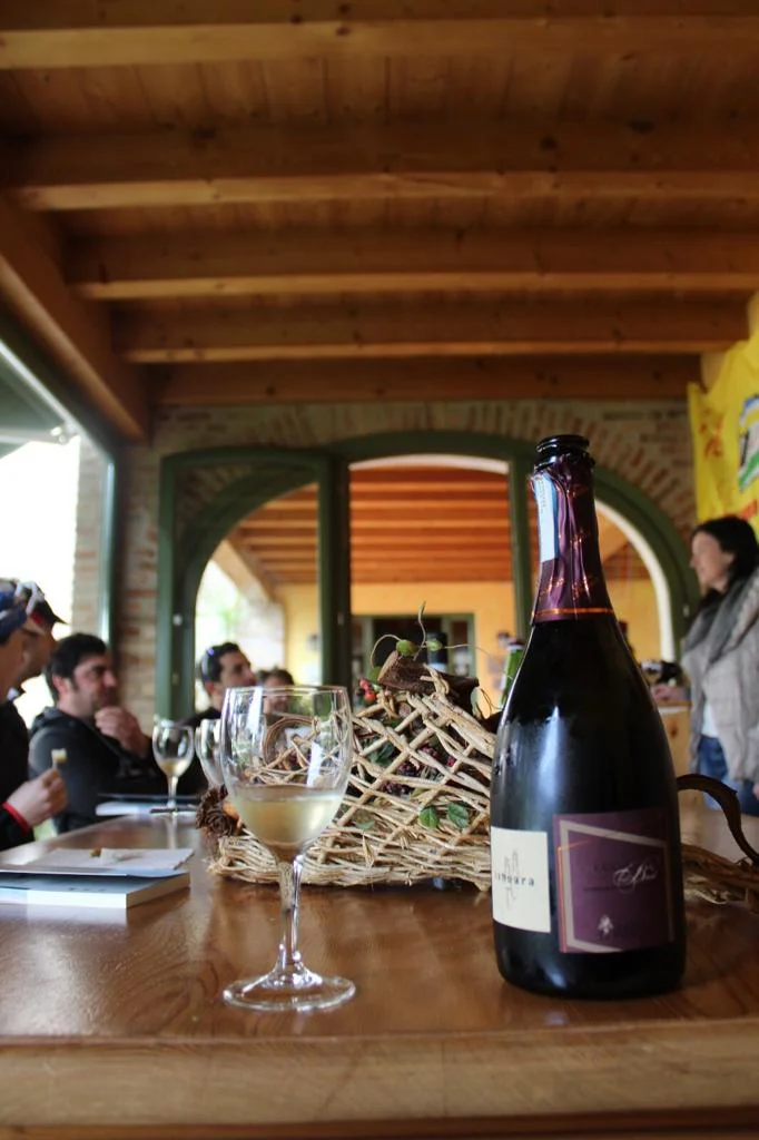italy-bike-tours-franchacorta-tasting.jpg