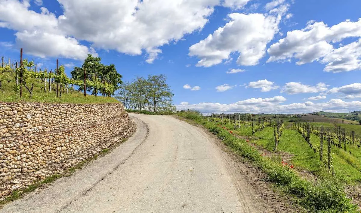 Barolo vineyards in the Langhe