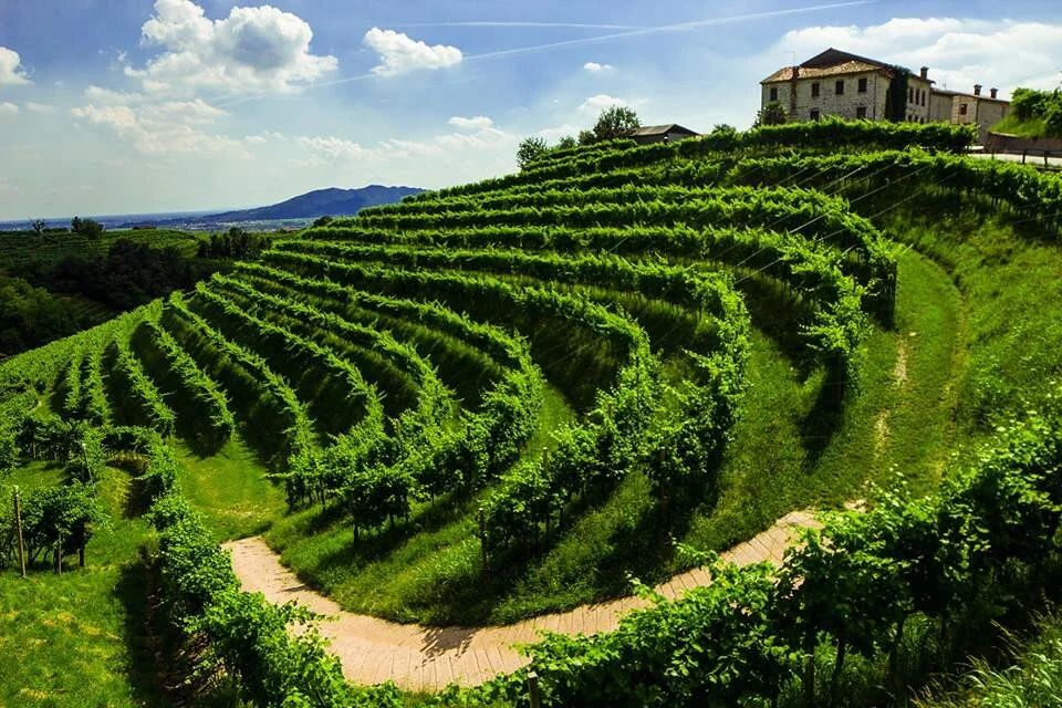 Piedmont landscape in Northern Italy