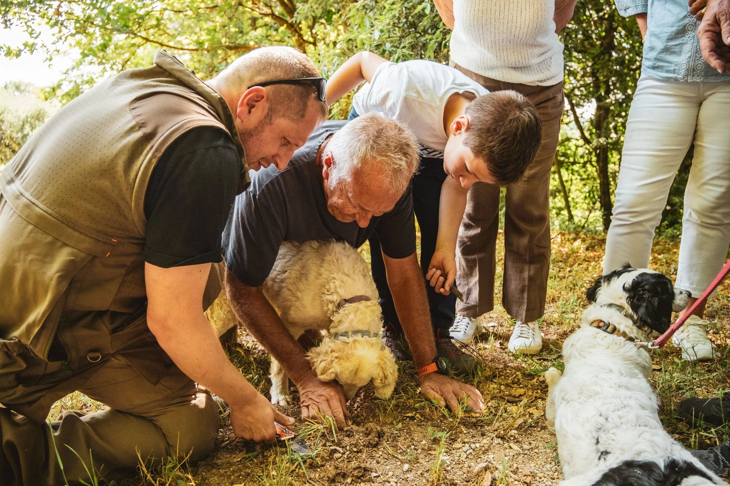 truffle hunting in Tuscany