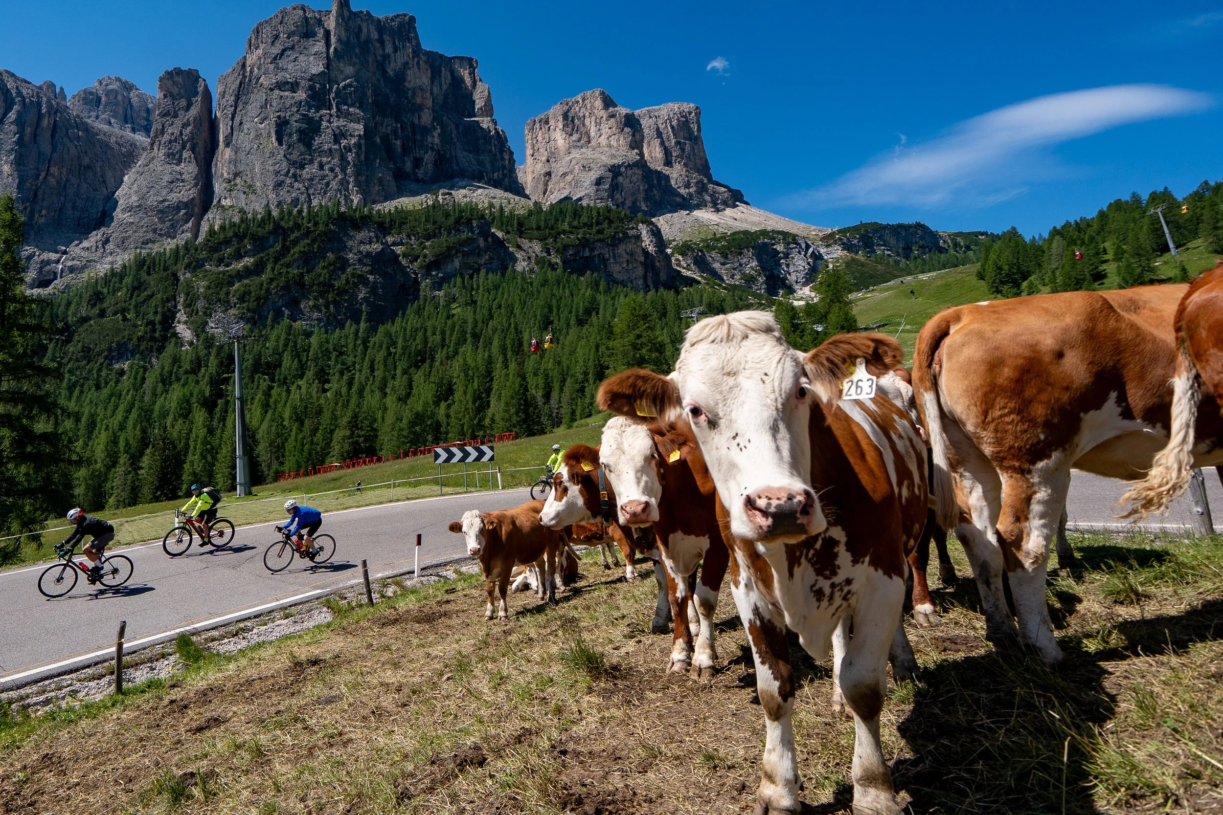 Cycling tour in the Dolomites