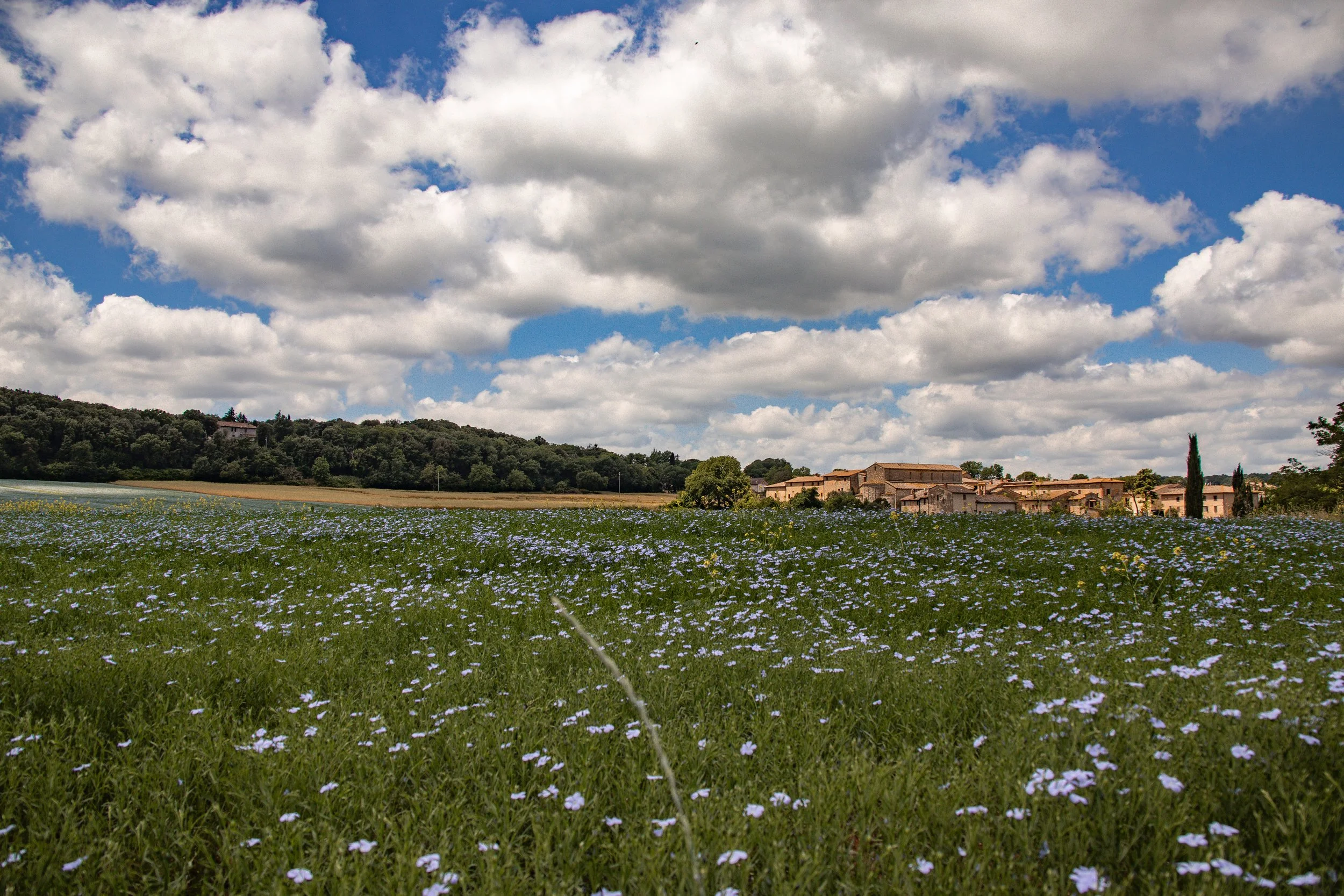 cycling in sardinia