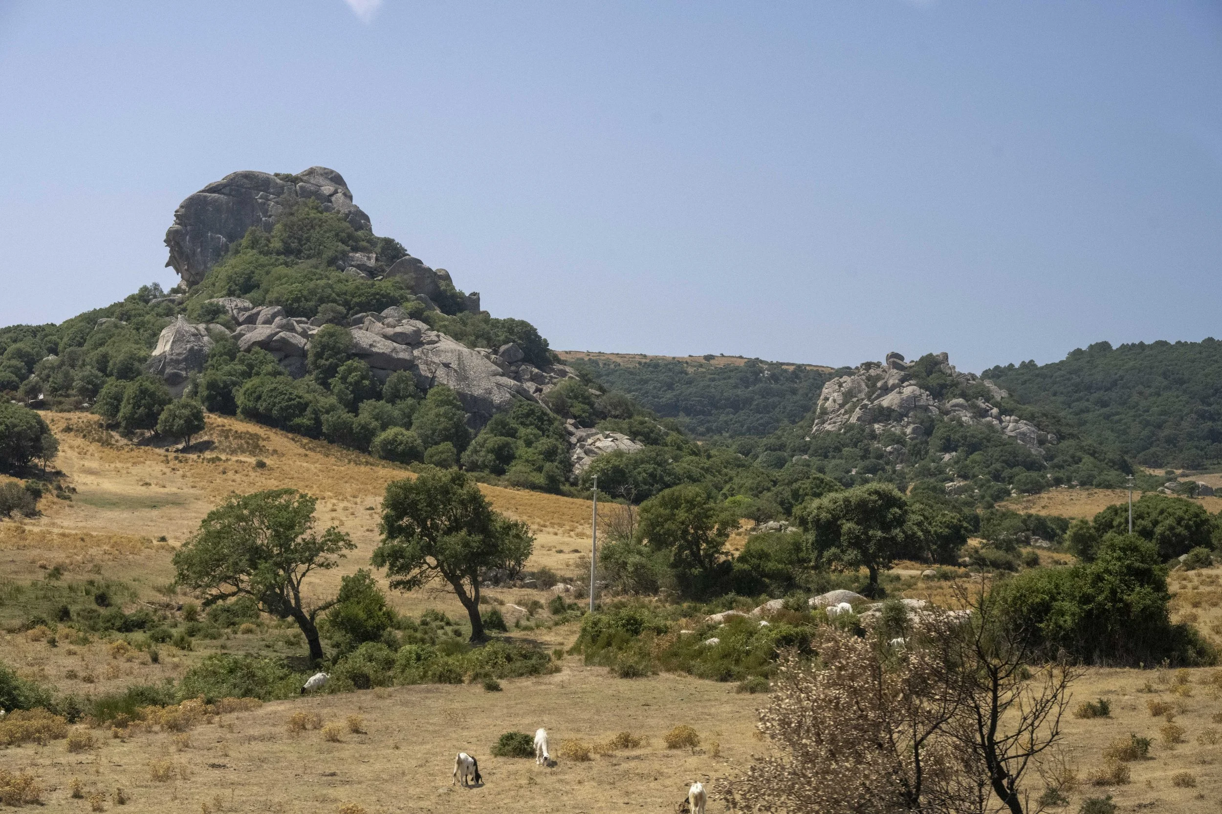 Cycling Sardinia