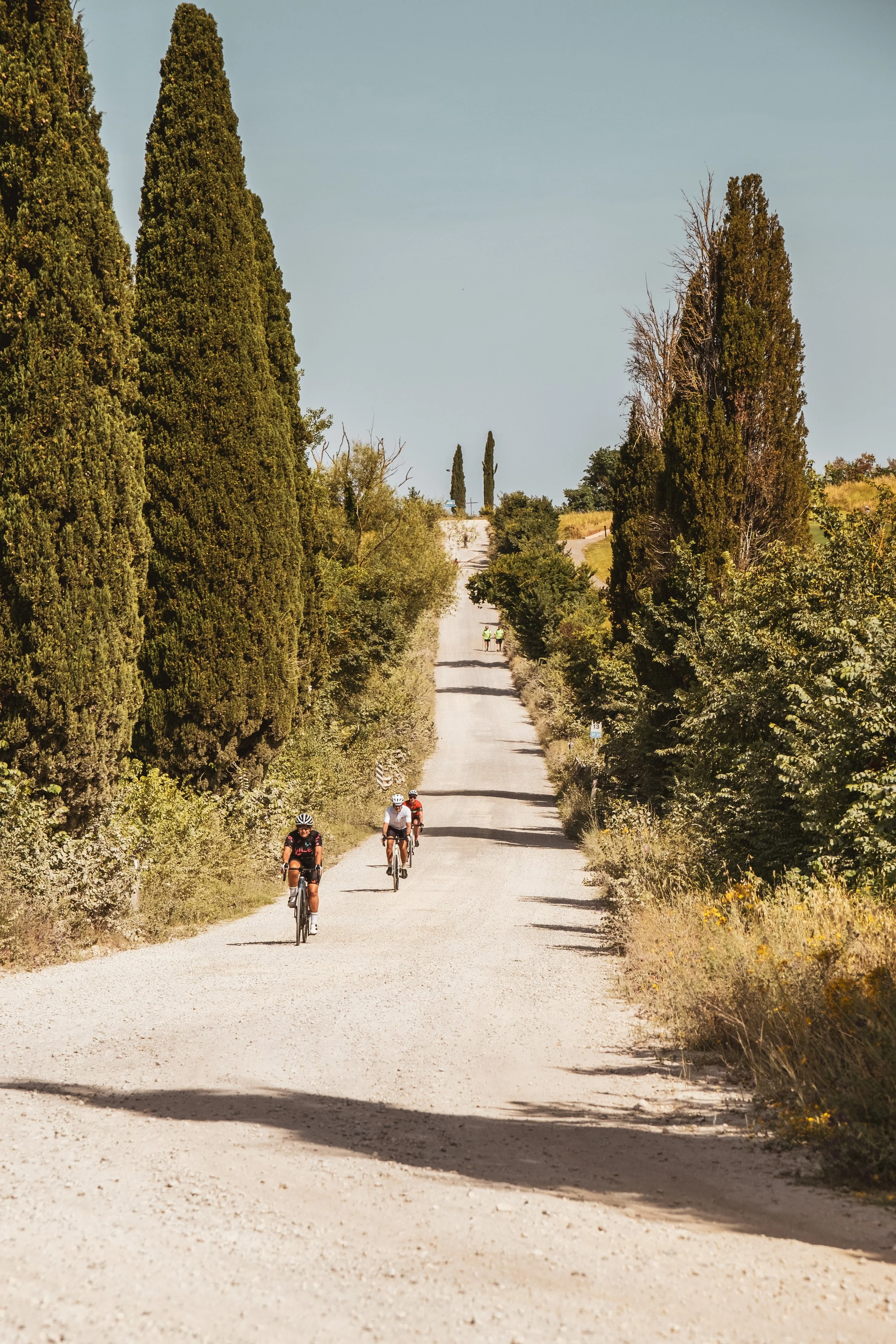 Cycling the Strade Bianche on the Eroica Montalcino route
