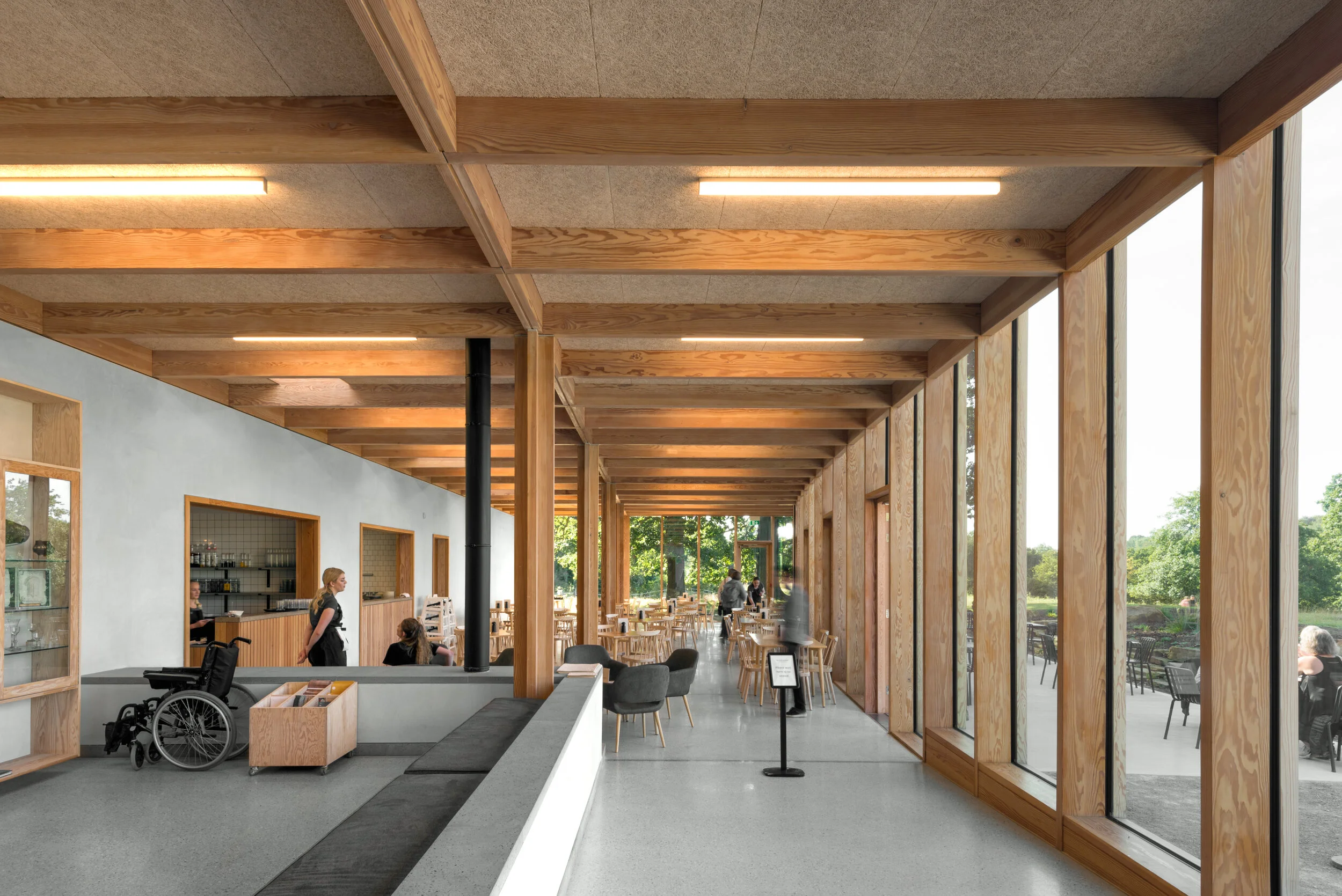 2-Weston-YSP.jpg