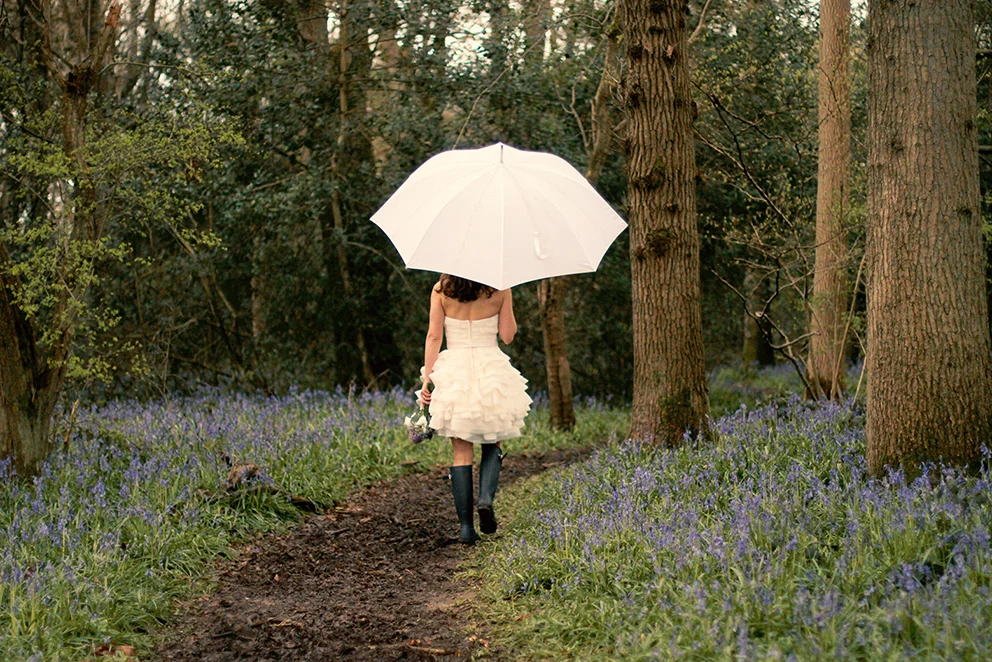 fiesta-fields-staffhurst-wood.jpg