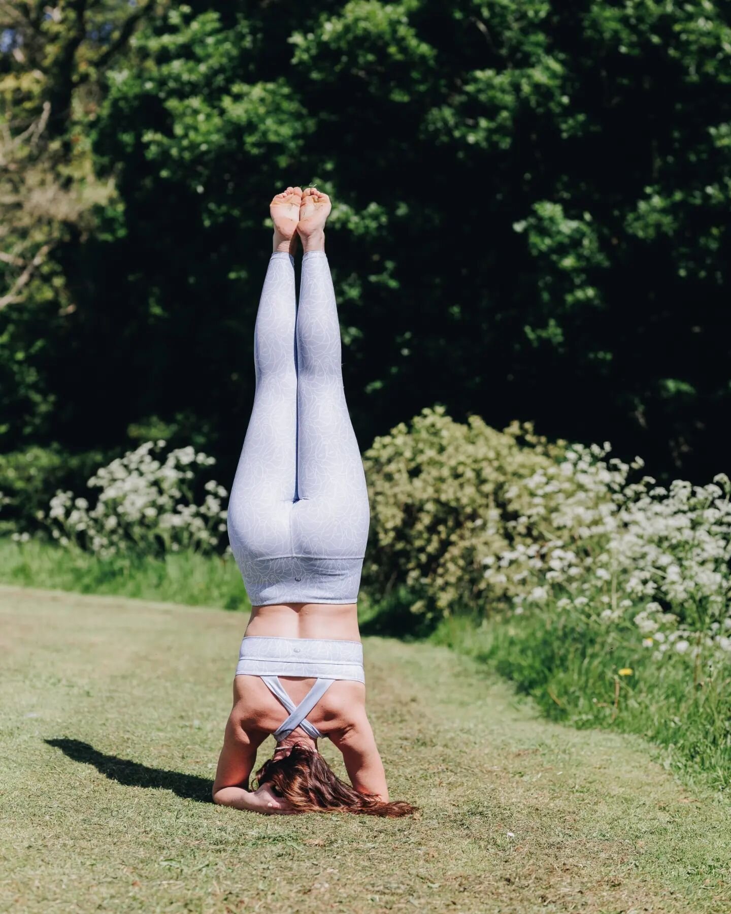 Upside down or right side up, our eco apparel moulds to the body, no matter what shape you make.

🐻🌻

#ecoyoga
#repreve #reprevefabric #zenbear
#zenbearyoga