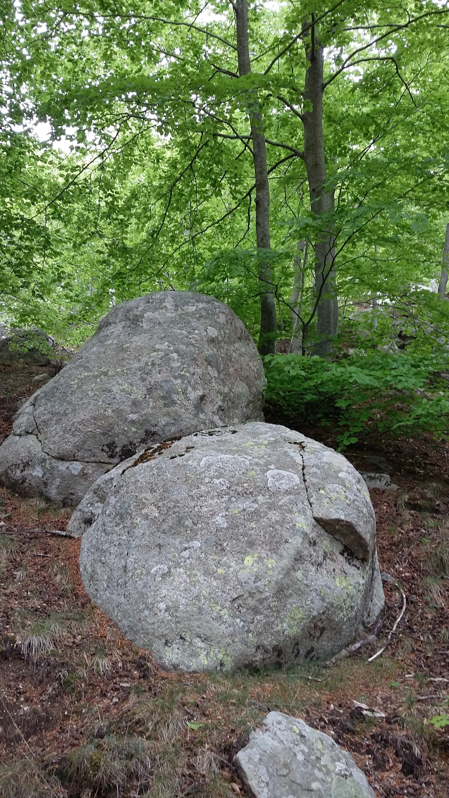 20180501_093454.jpg