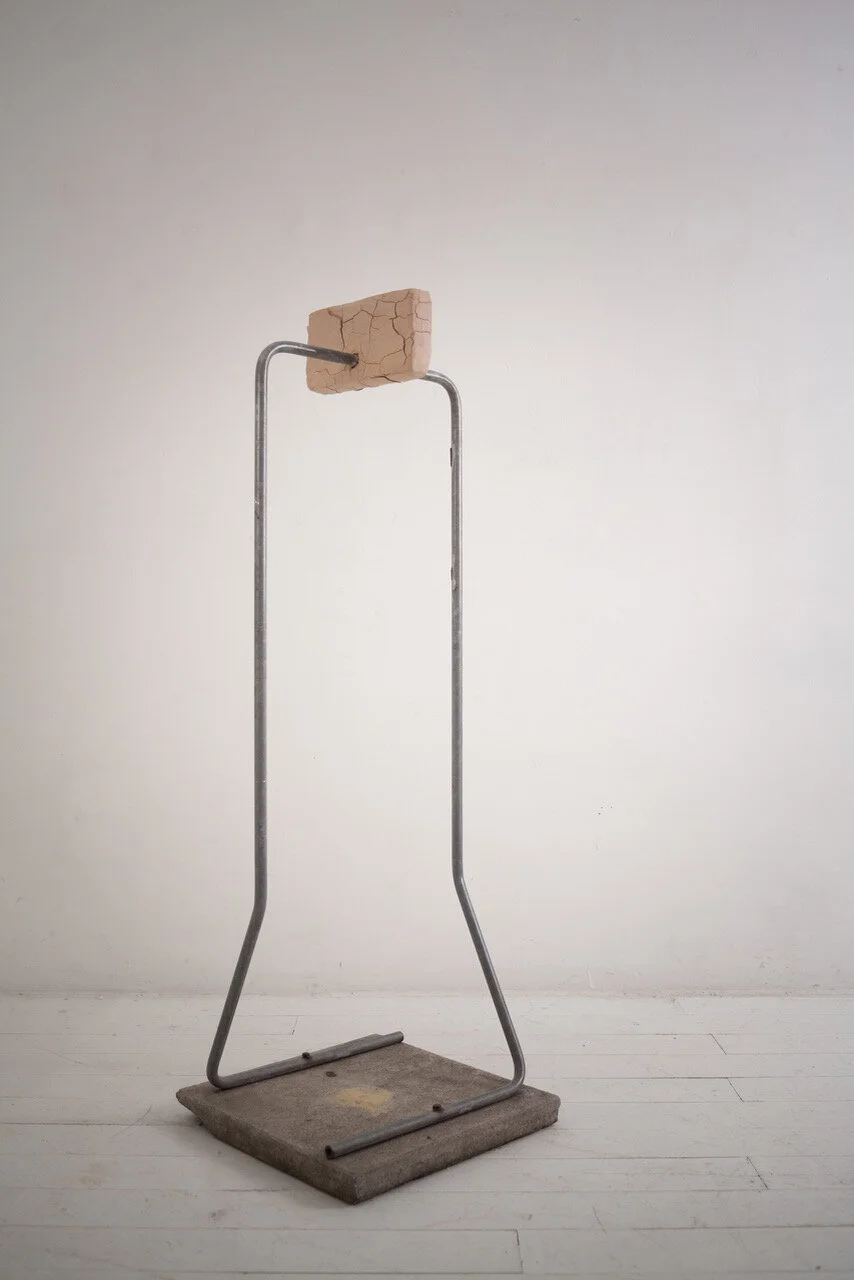 CECILIA MIRANDA / A quien corresponda