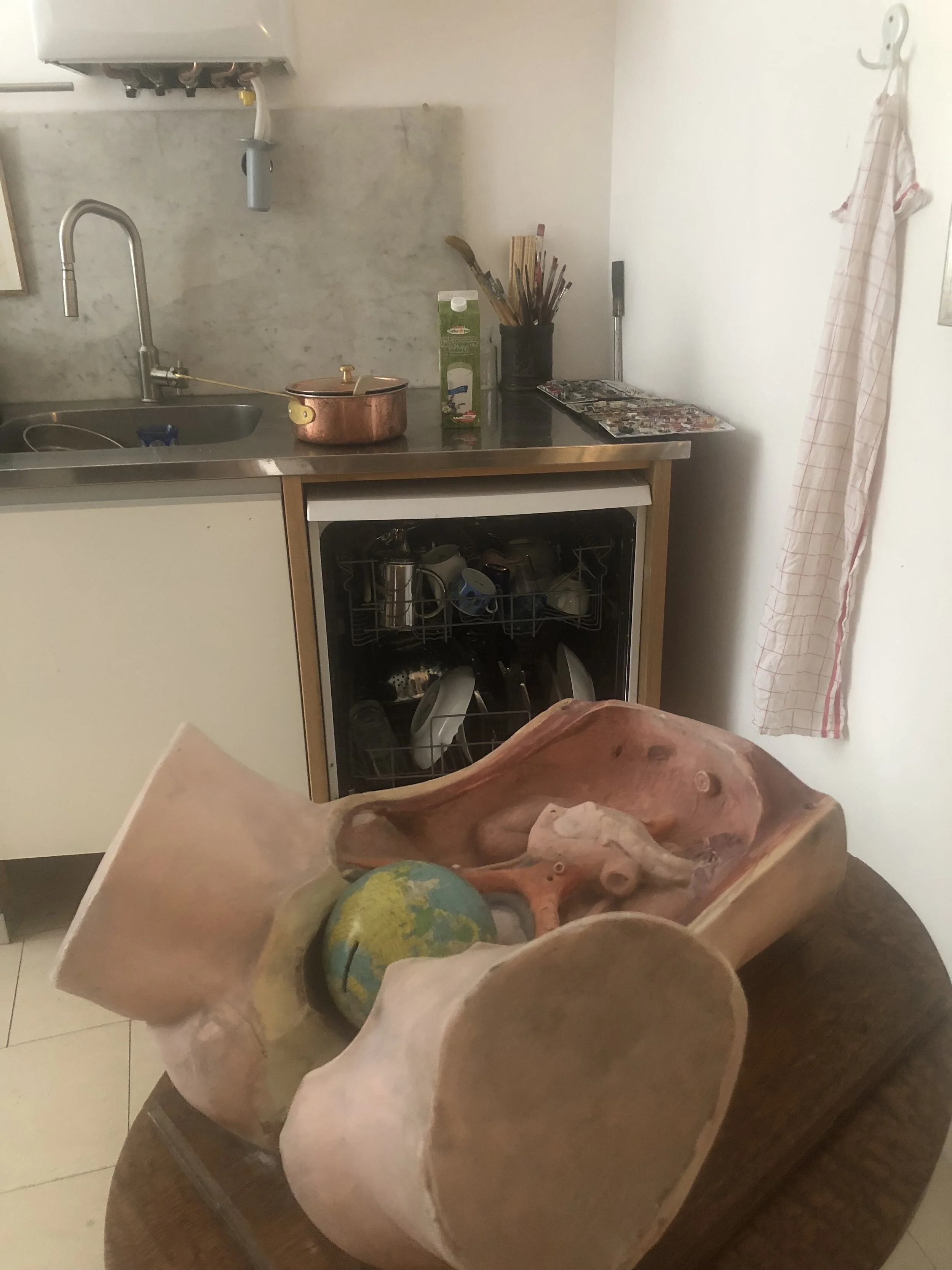 NIVES WIDAUER / Living with Anna B.