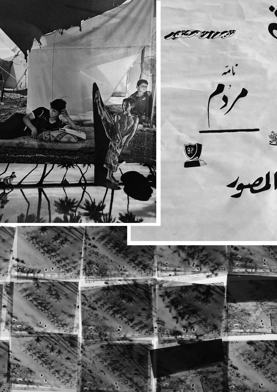 ARBITRARY LINES / خطوط خودساخته 