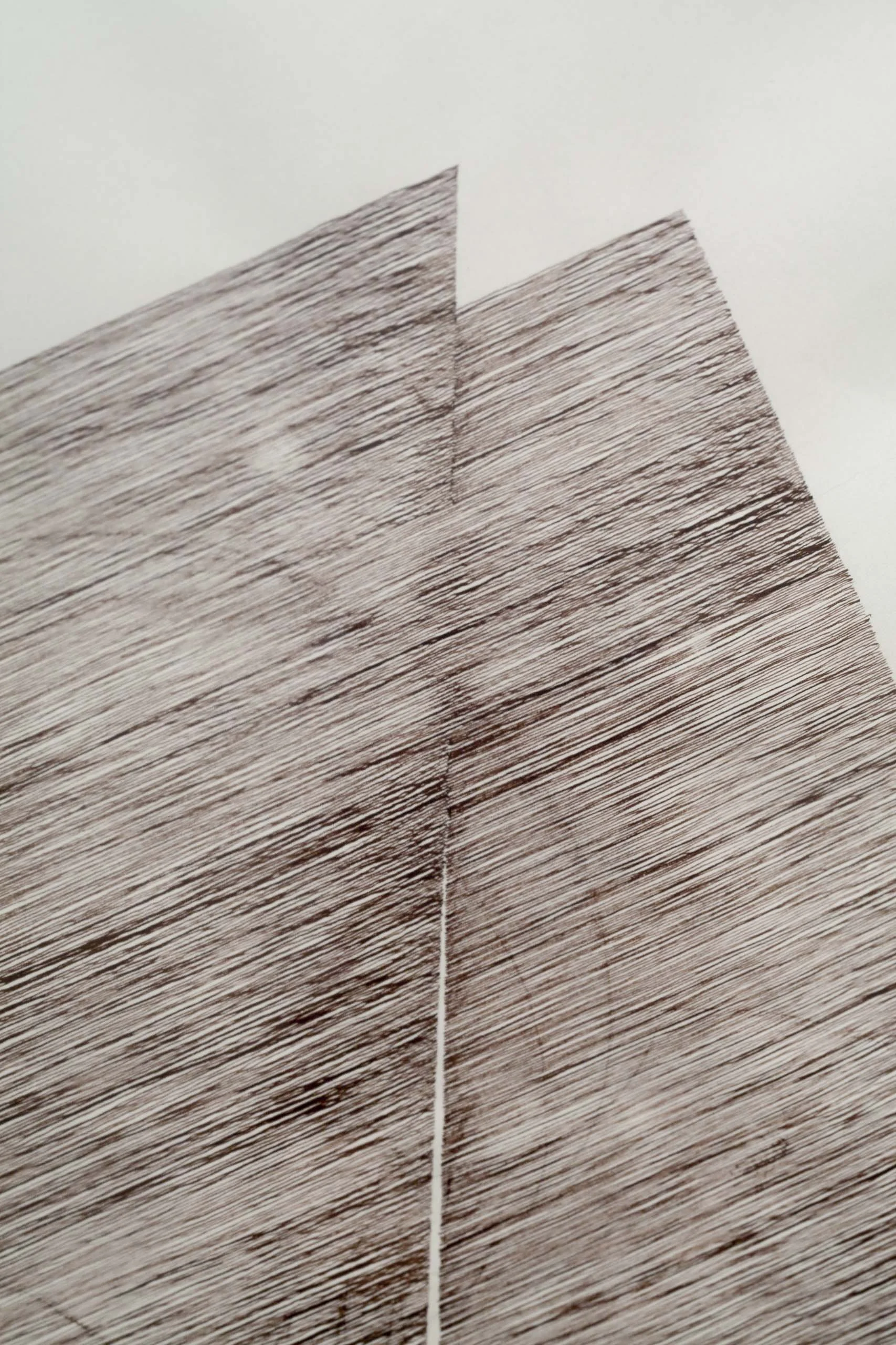 VOORIA ARIA // disrupted constancy /constant disruption