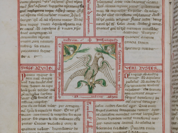 #5 Libri de Avibus. Von Goldregenpfeifern und Pelikanen