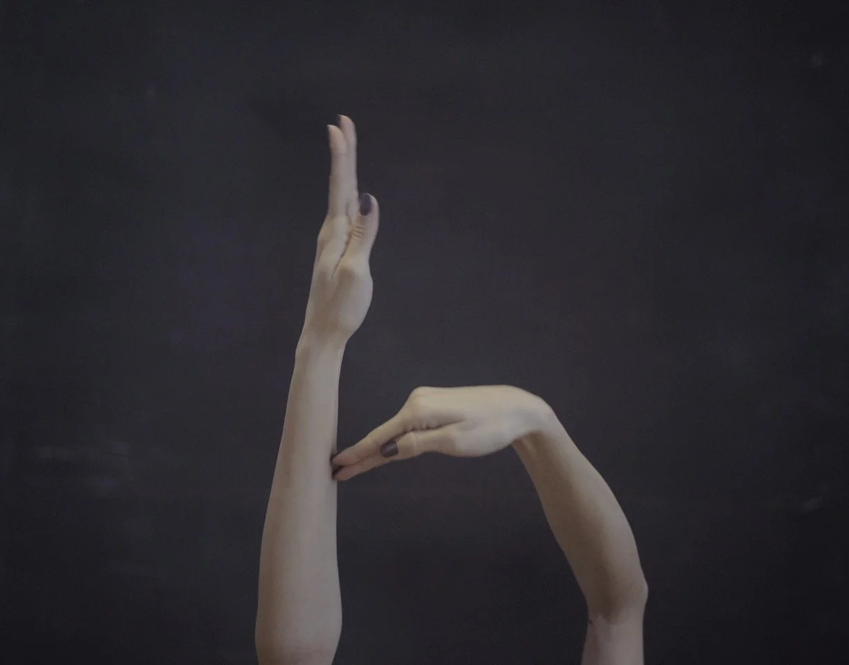 Flug der Vögel / Flight of the Birds