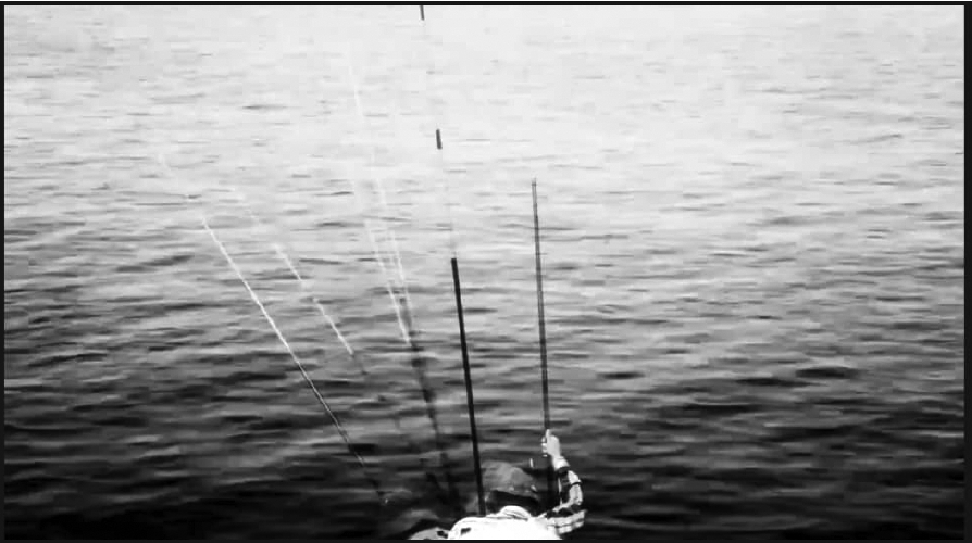 Words on Water