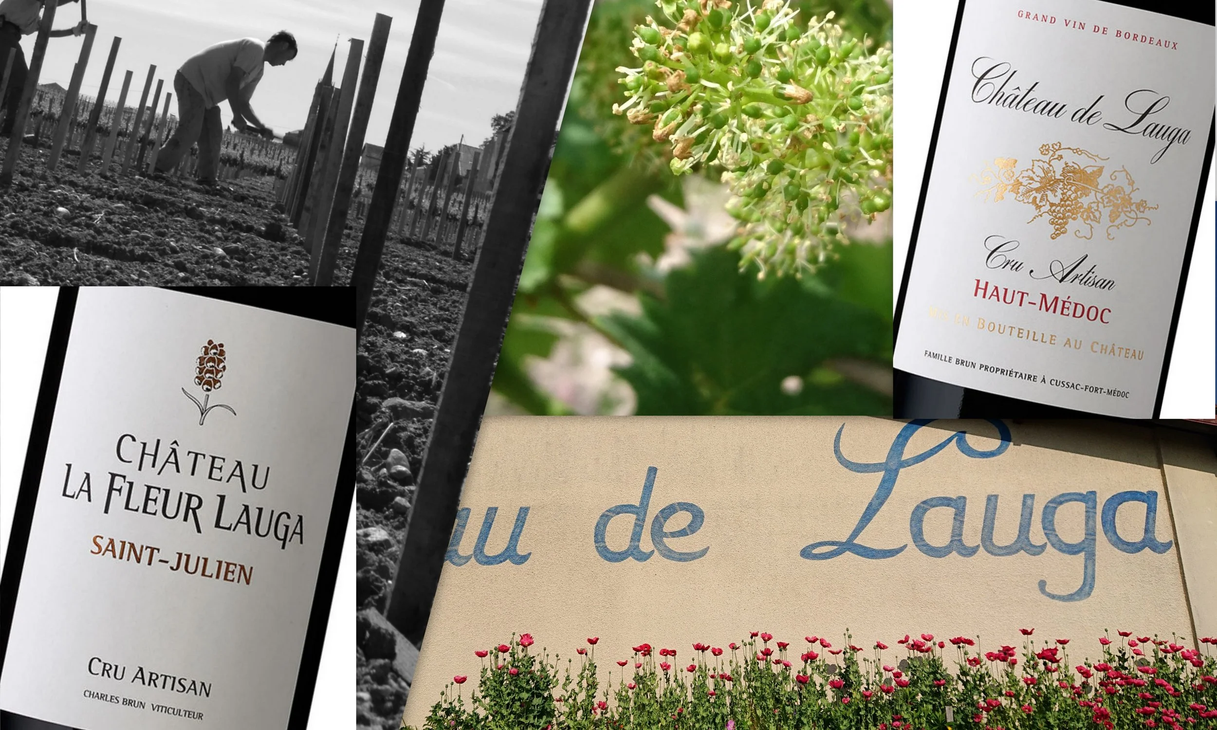 Dégustation au Primeur du Bouscat