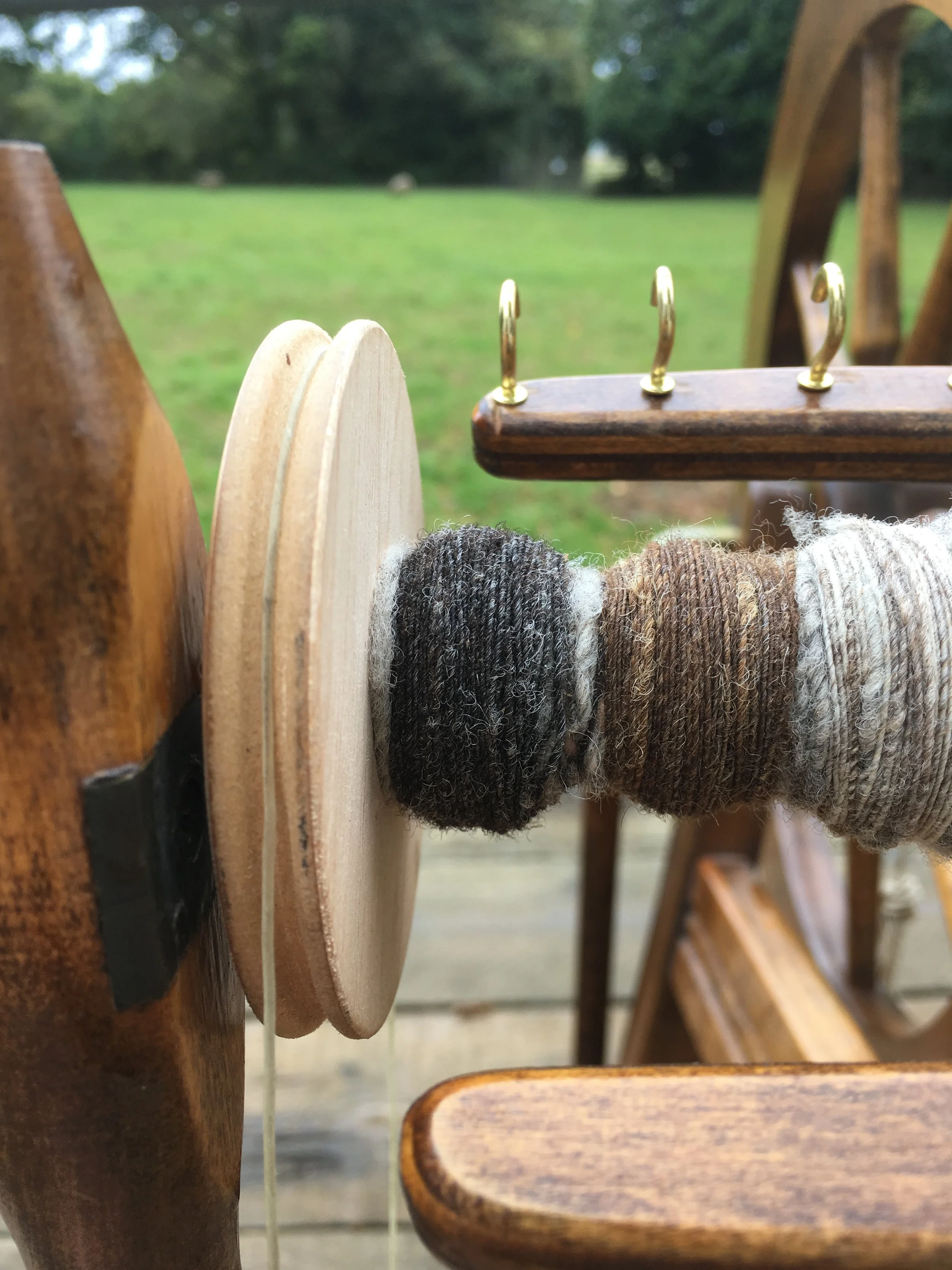  3x single plys on the bobbin, ewes in the background 