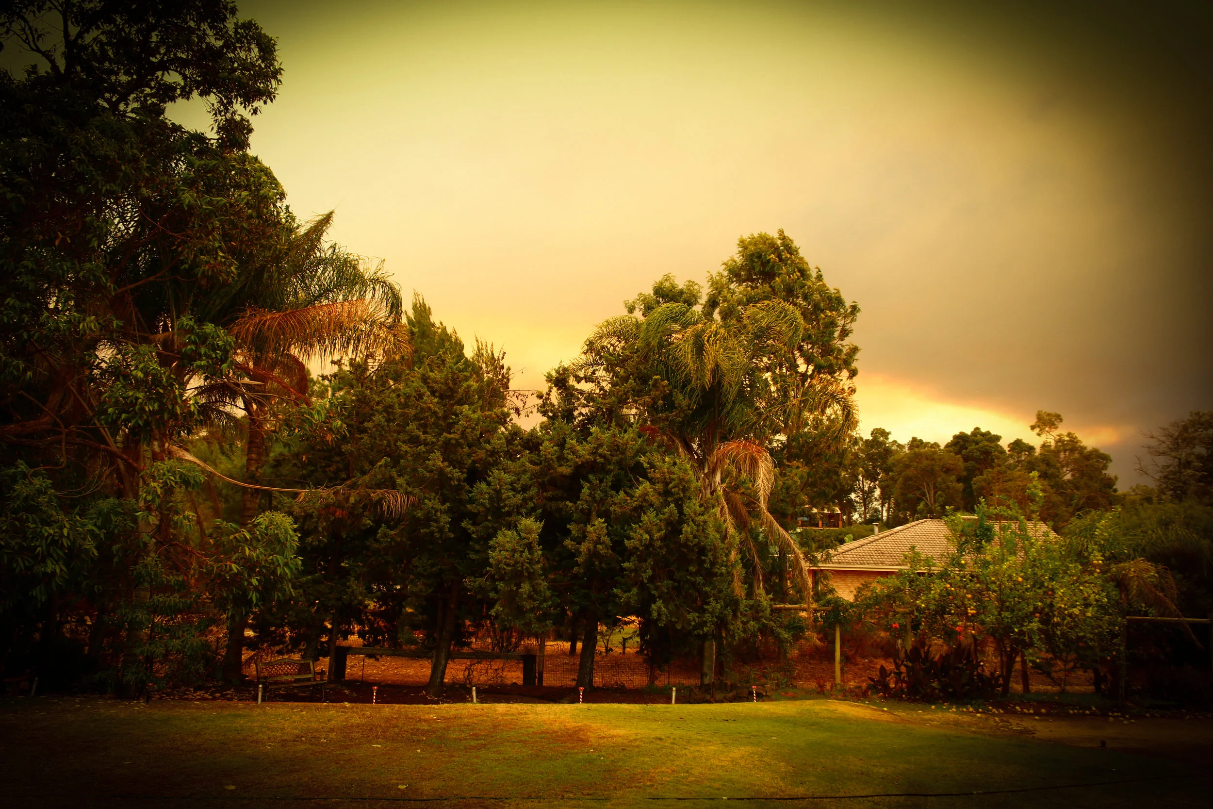  Wildfires raging through parts of Western Australia. Here in Bunbury, a surreal golden glow covers the entire sky as far as the eye can see.   The town of Yarloop was levelled to the ground.  