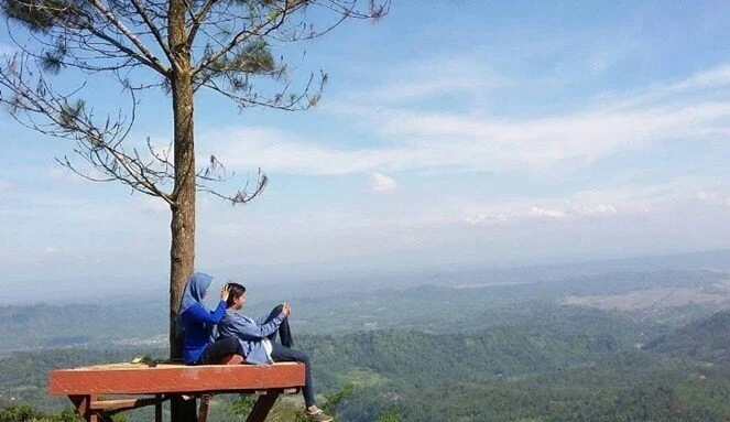 Desa Panusupan Tawarkan Panorama Eksotisme Rumah Pohon