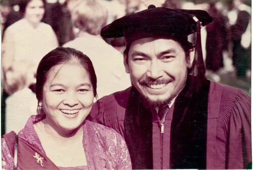 Adopsi Gagasan Baru Gaya Negara Berkembang