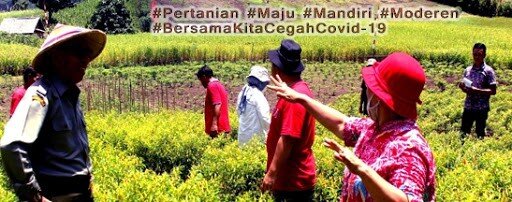 kedua2.jpg