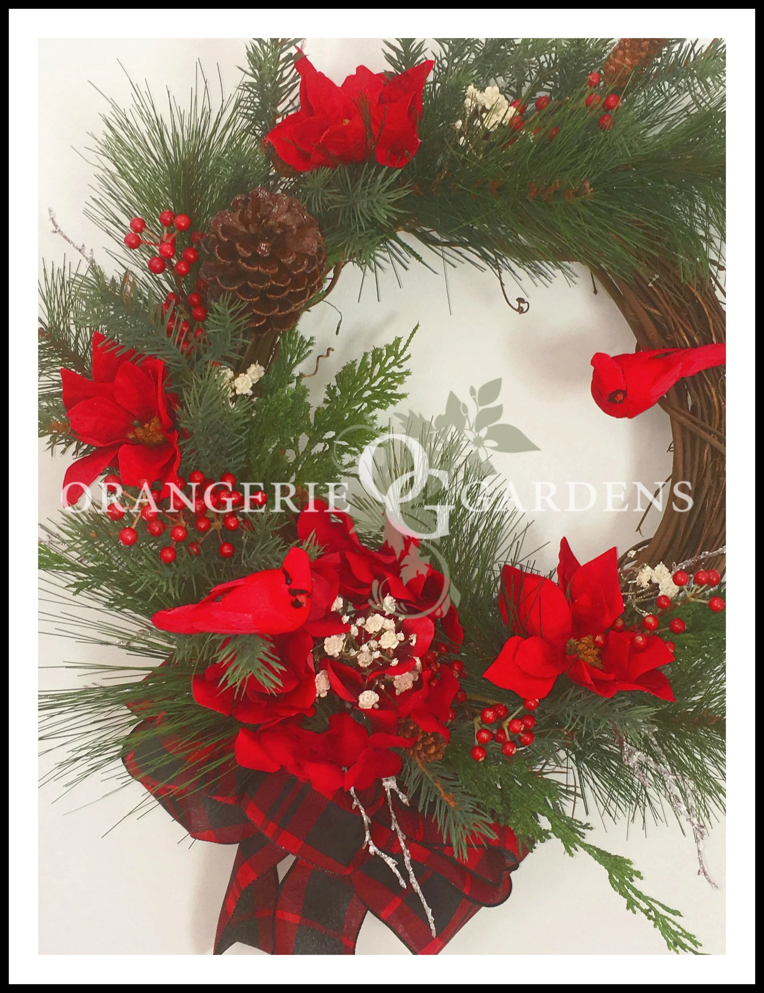 ChristmasCardnal3_OGkaB.jpg