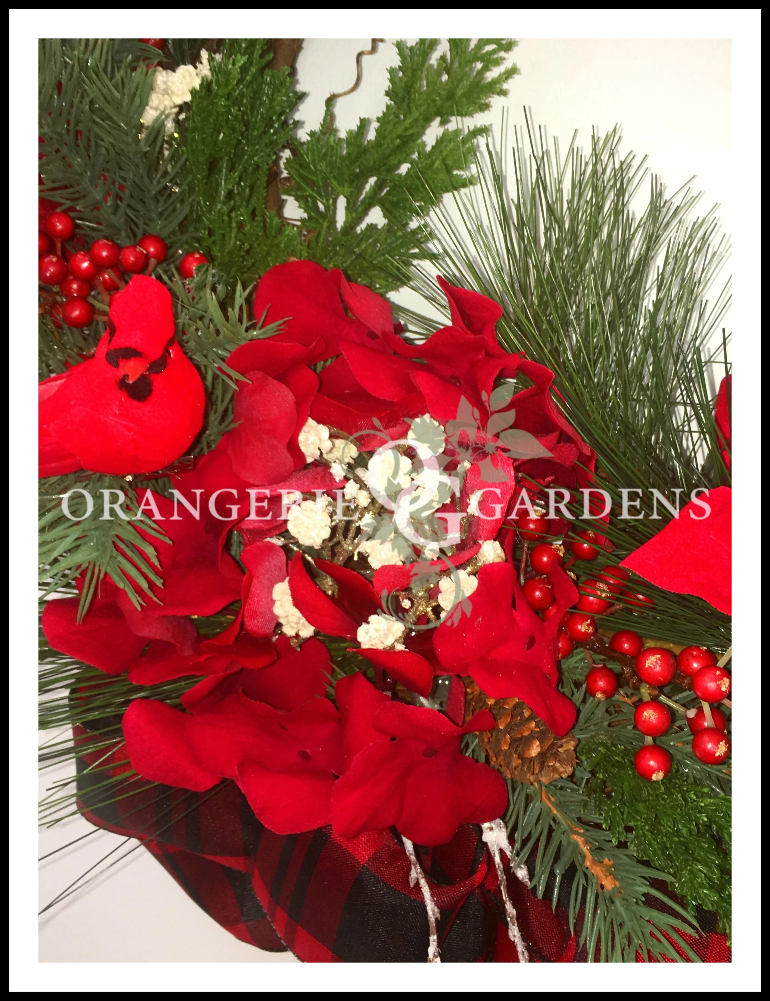 ChristmasCardnal5_OHkaB.jpg
